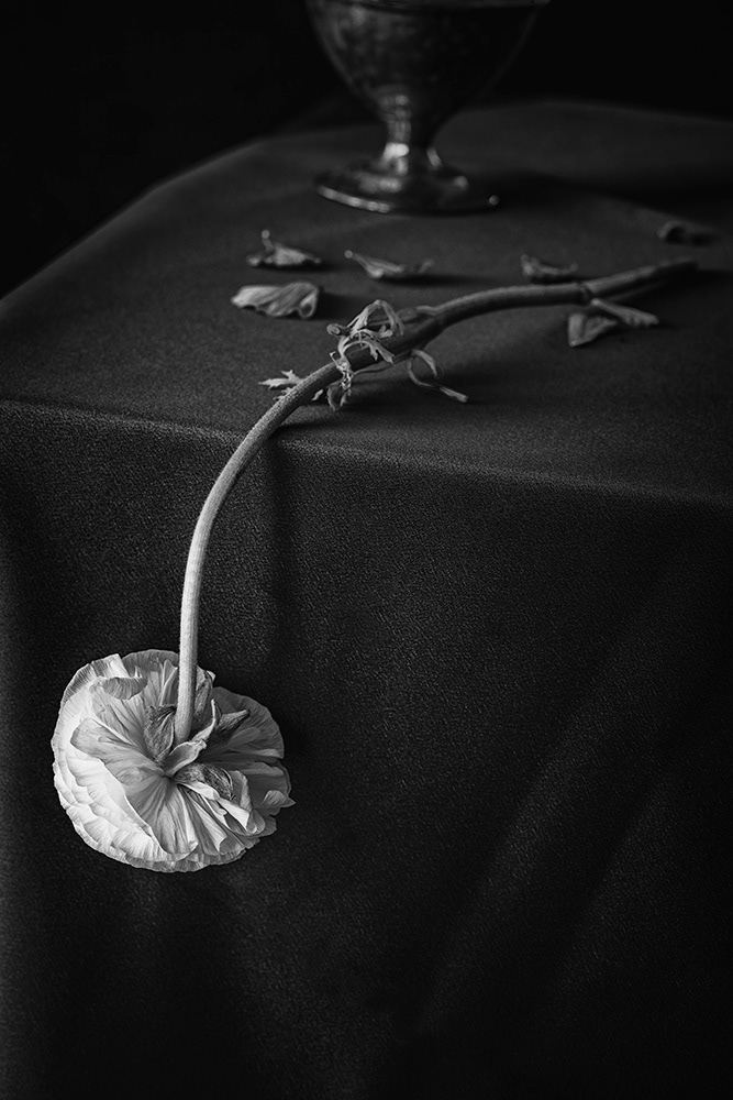 Remnants