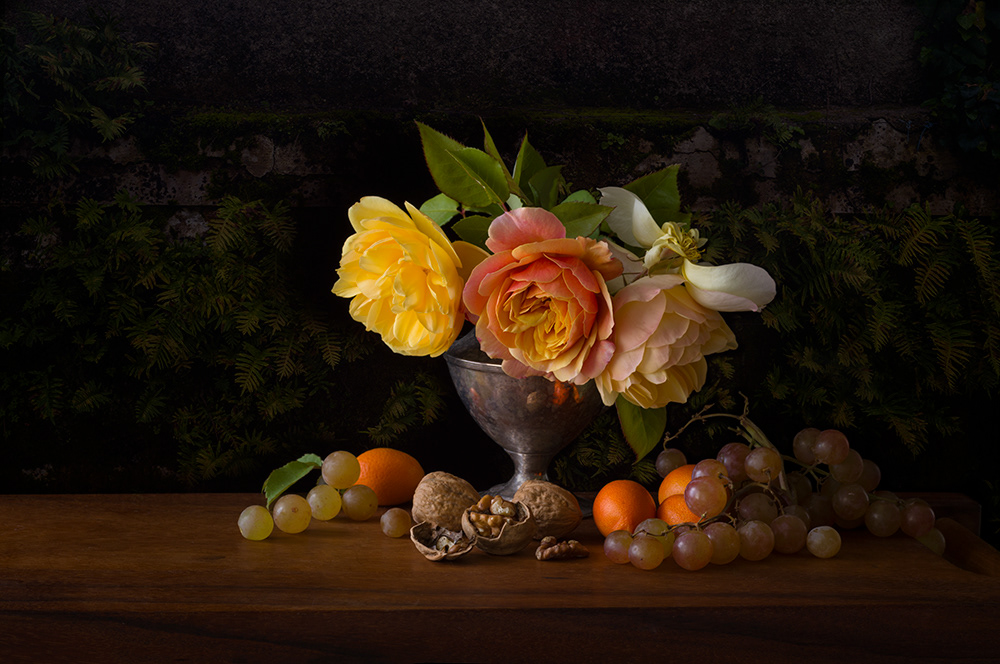 The Light Between Moments