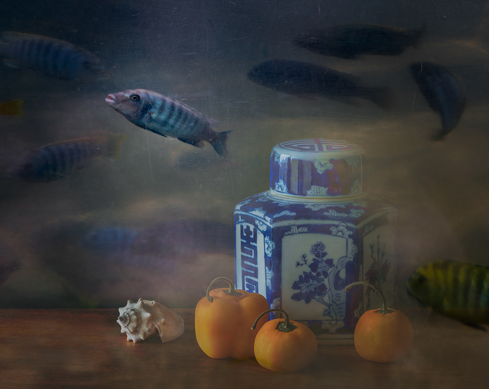 Swimming Through Life