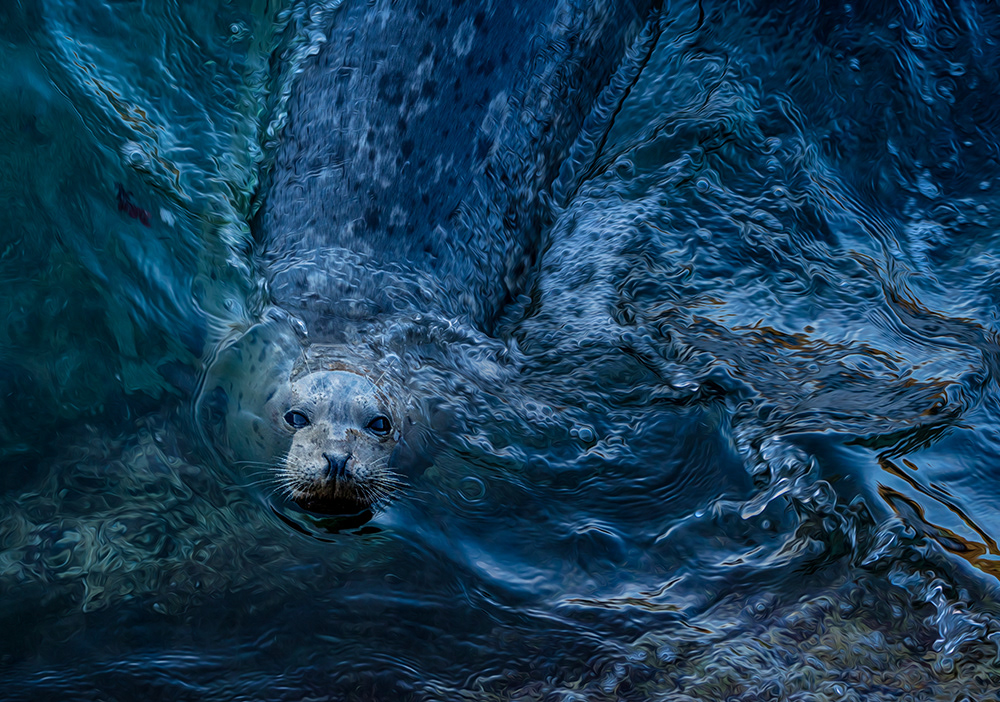 Living In A  Painted World