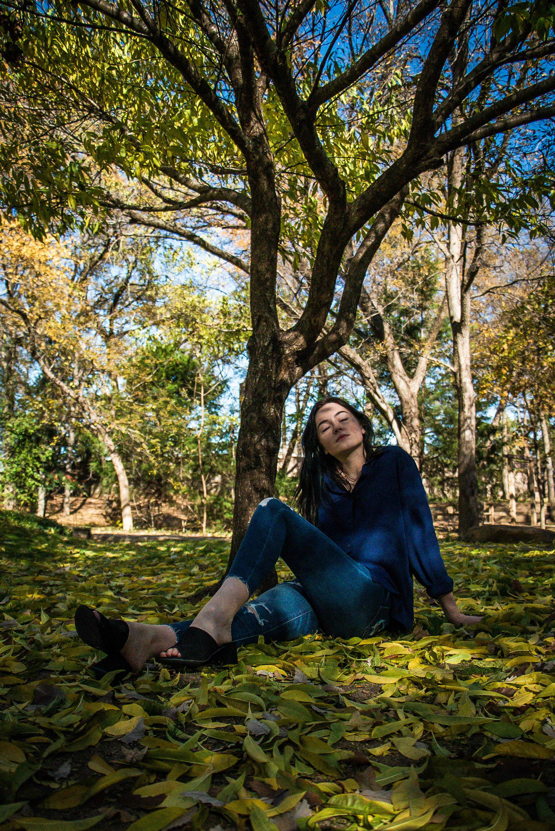 Photo at the Grapevine Botanical Gardens by Sam Casey
