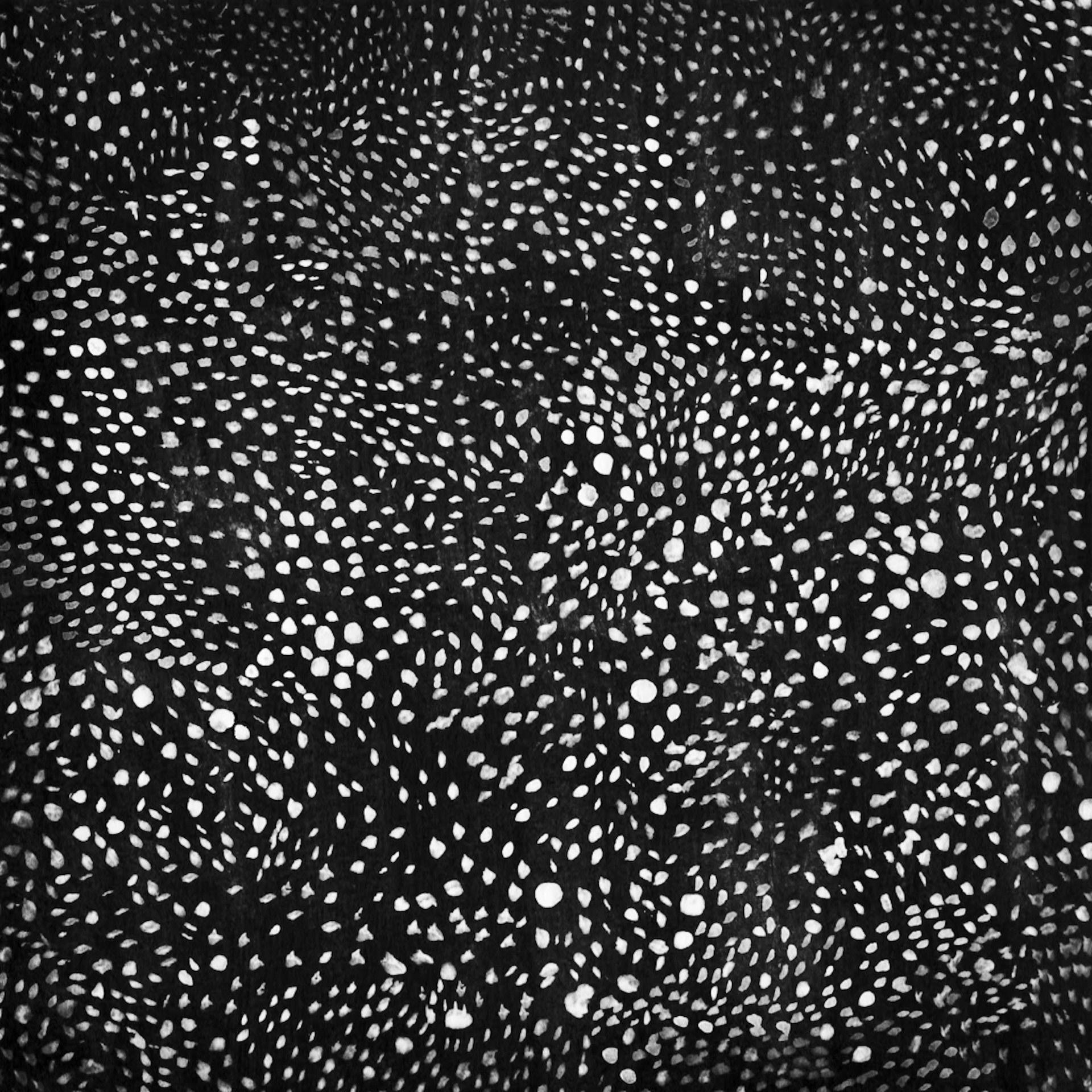 Bruce Conner, untitled (July 27, 1974), in Bruce Conner: It's All True (San Francisco Museum of Modern Art and University of California Press: San Francisco, 2016). 2021