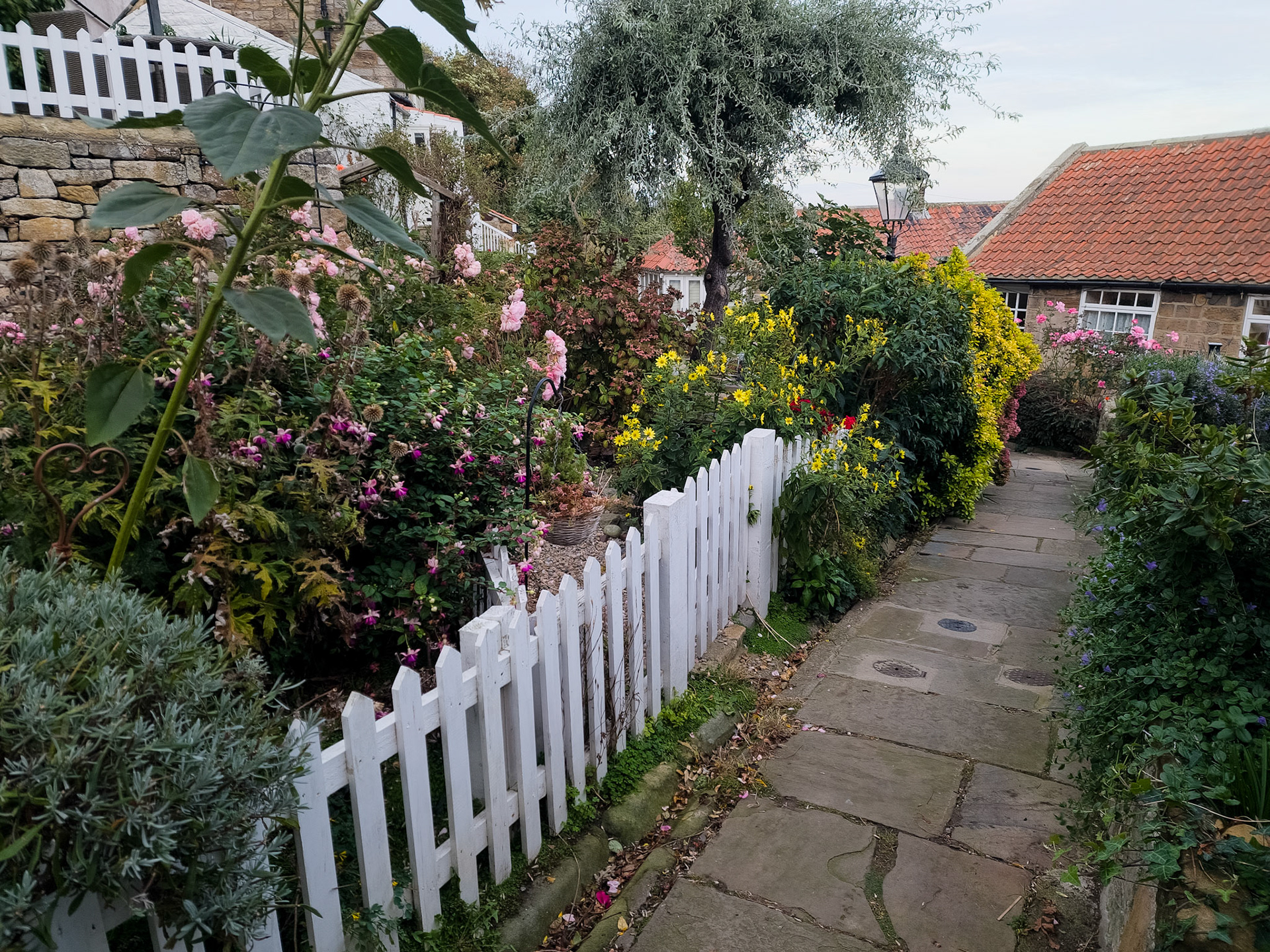 Runswick Bay