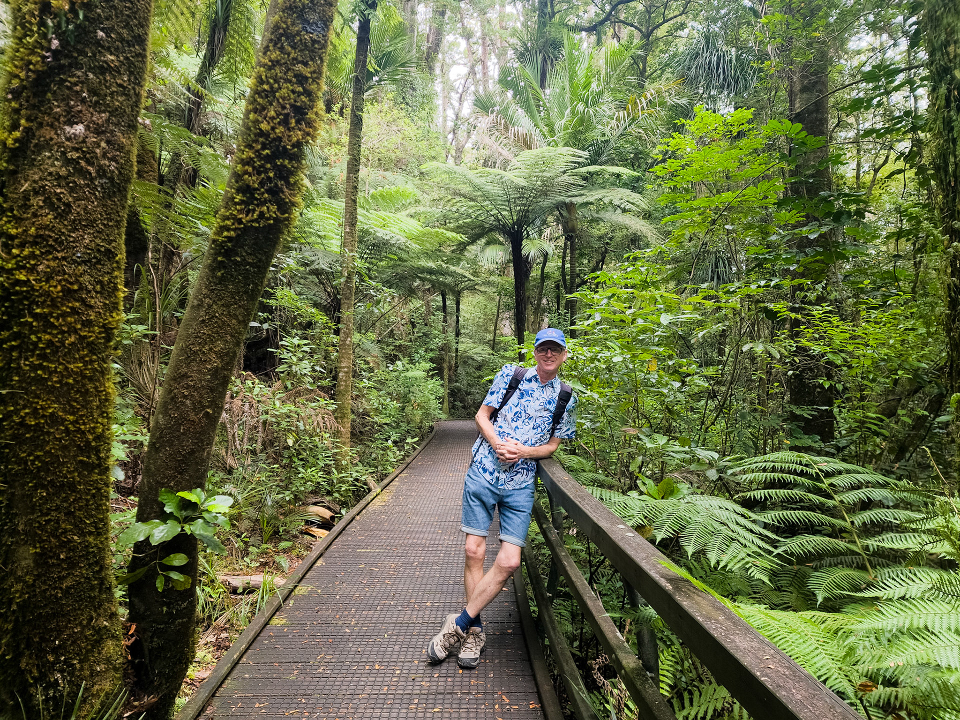 Kauri Walk, Puketi Forest
