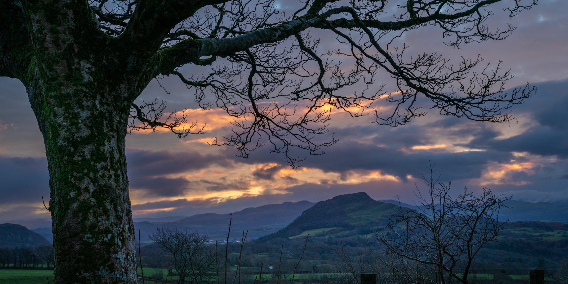 Moel y Gest from Airbnb