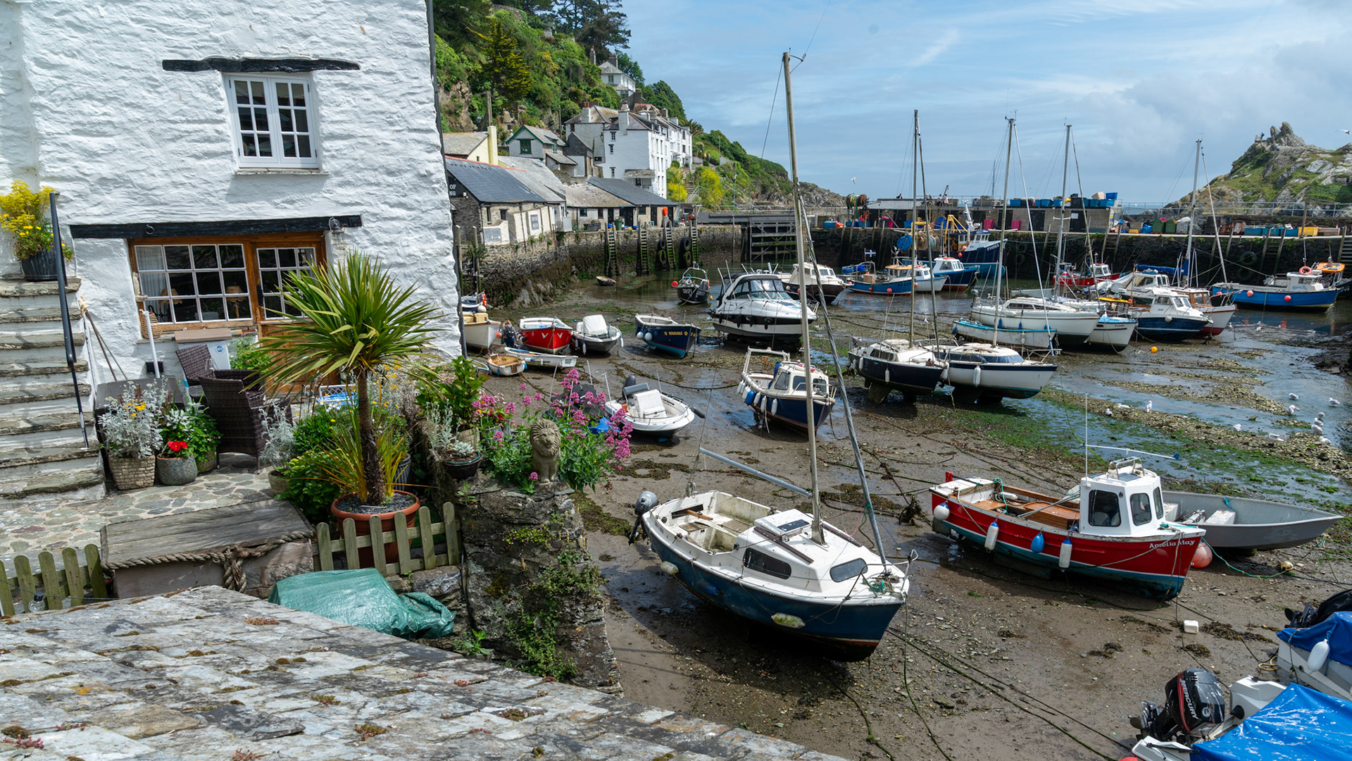 Polperro