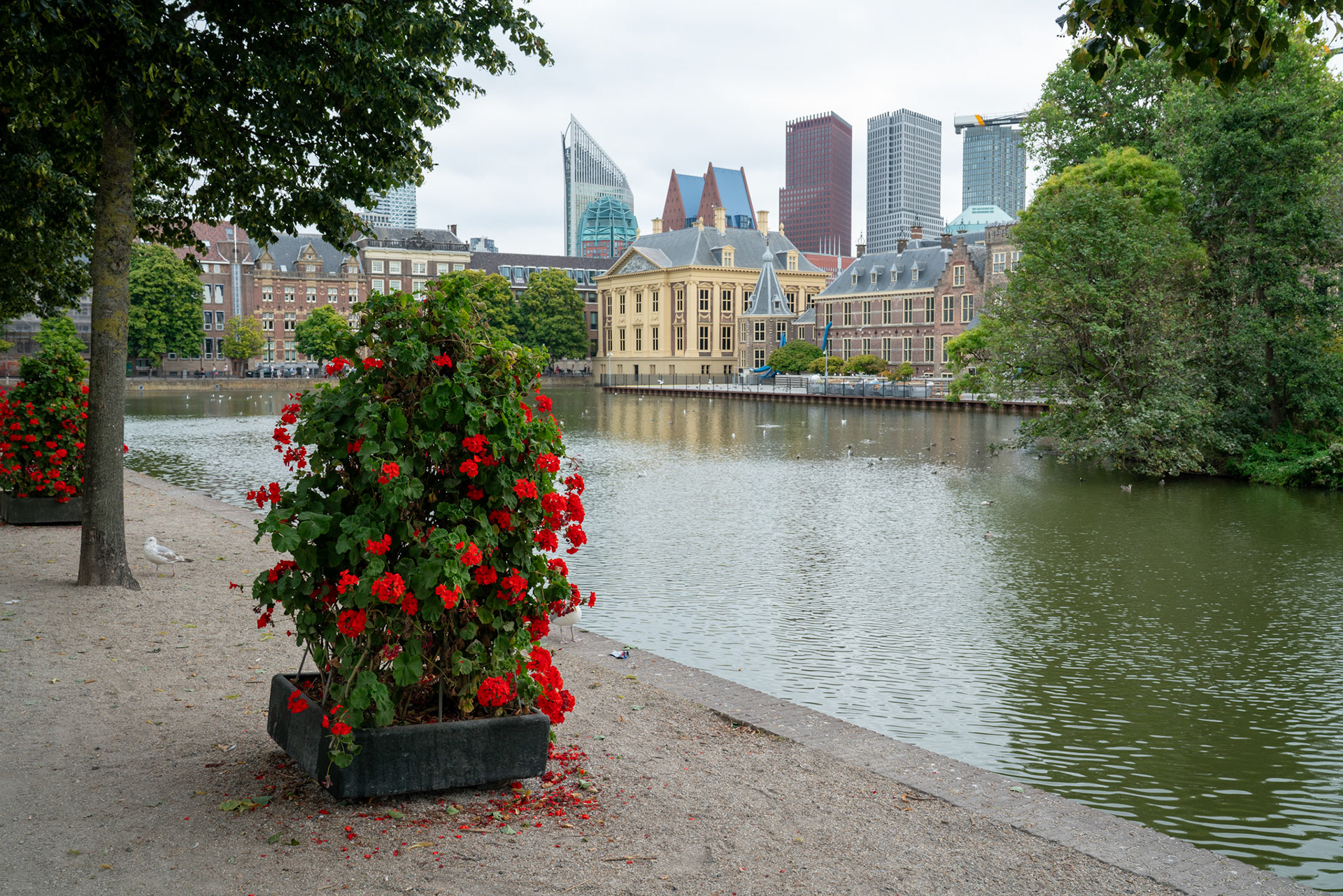 MauritsHuis museum at The Hague