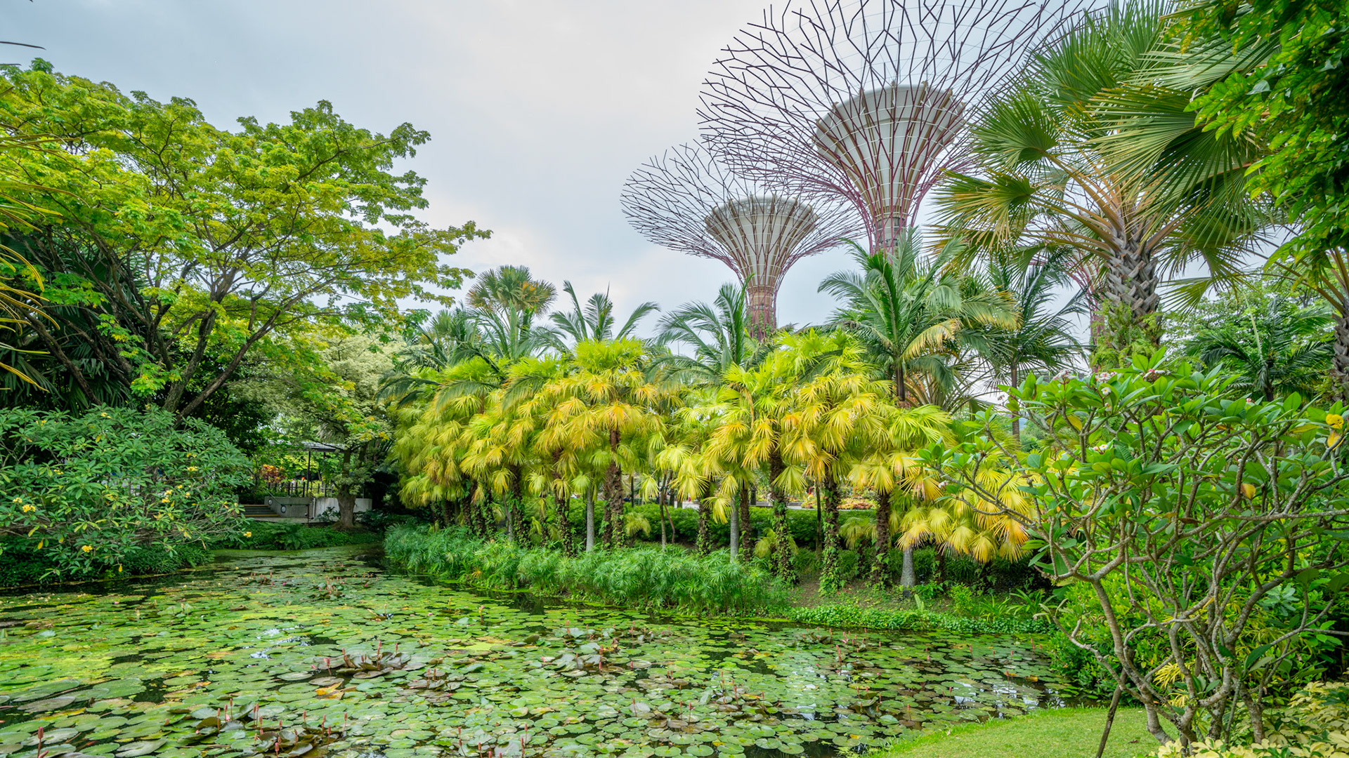 Gardens By The Bay