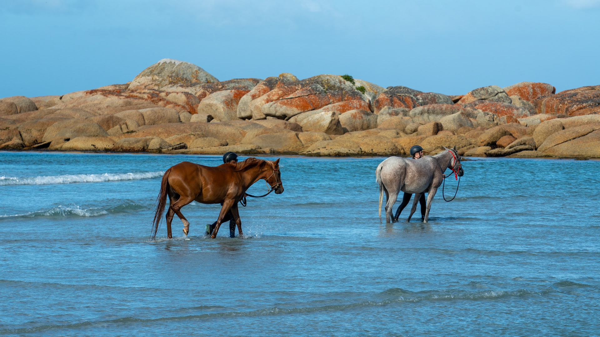 Redbill Beach, Bicheno