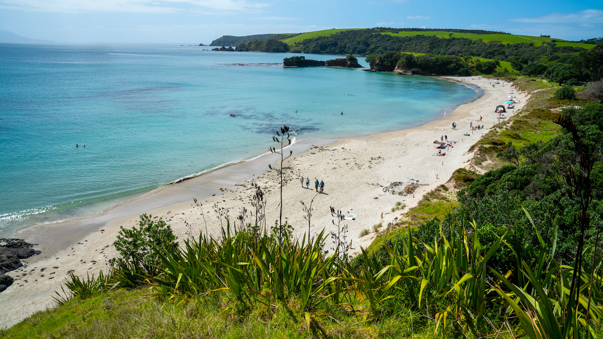 Tawharanui Regional Park