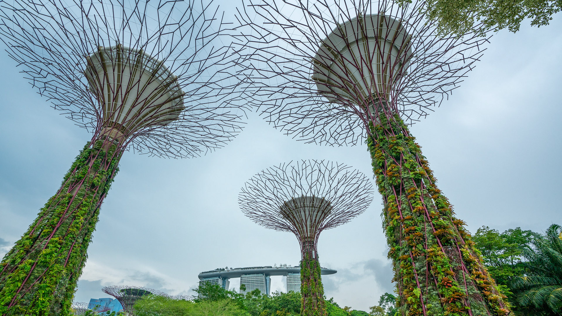Gardens By The Bay