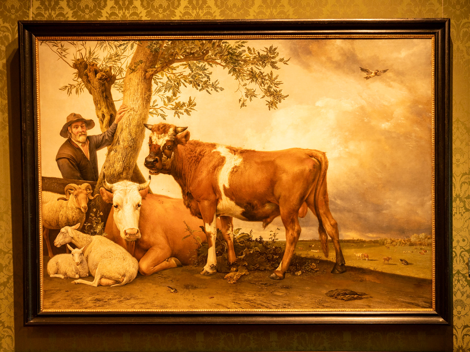 The Young Bull by Paulus Potter at the Mauritshuis museum in The Hague