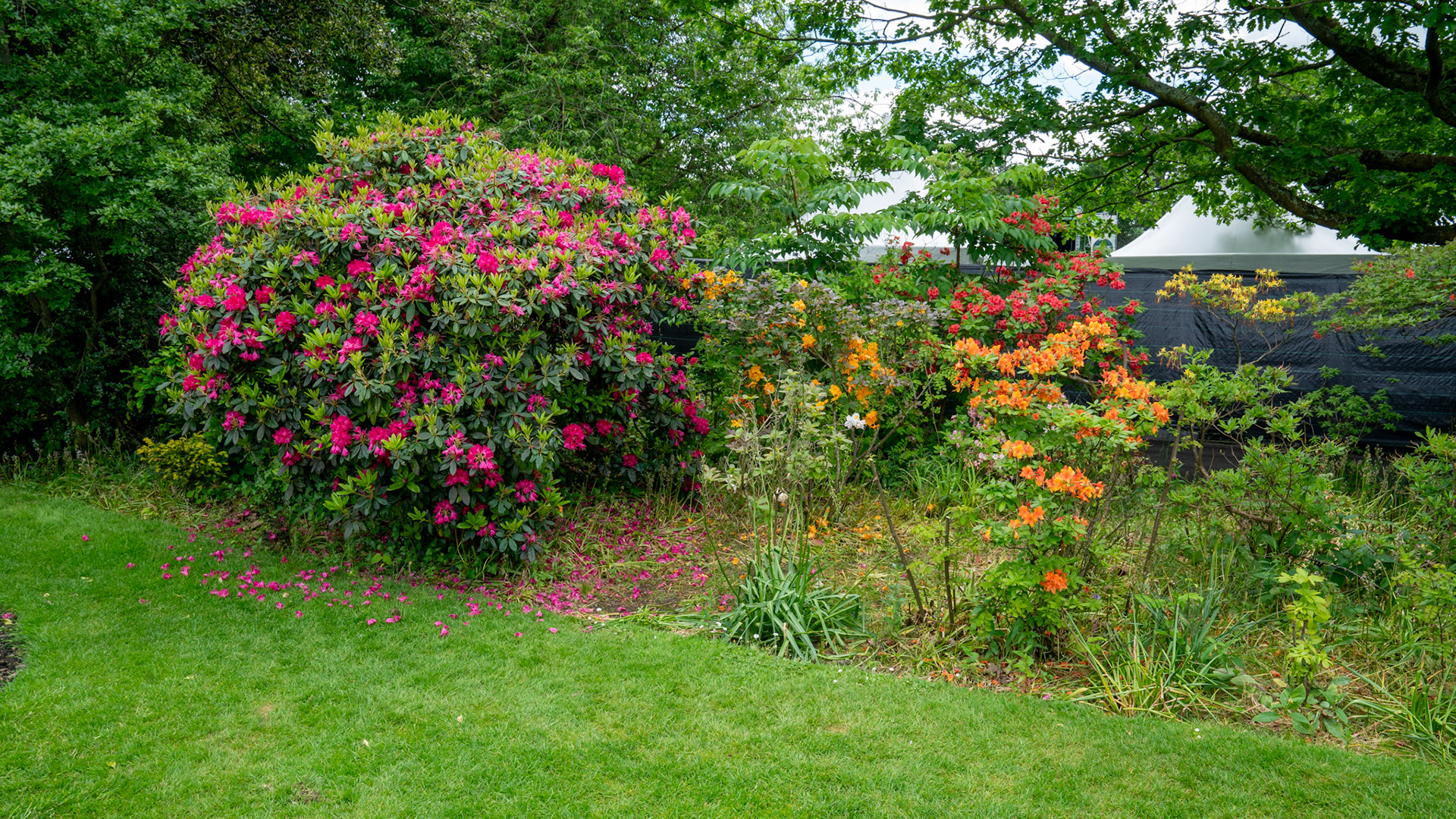 Botanic Gardens, Belfast