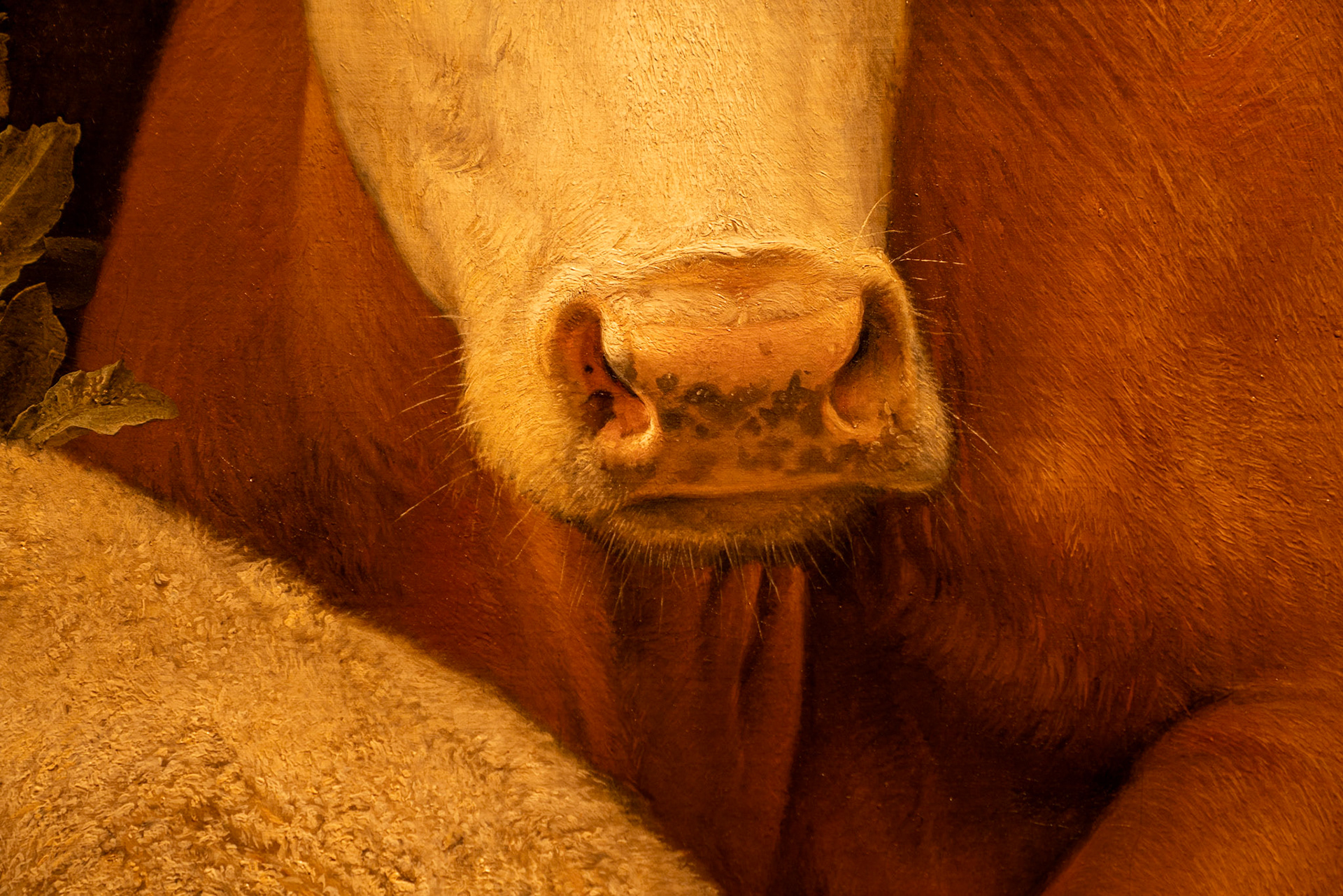 Close up the amazing detail in The Young Bull painiting