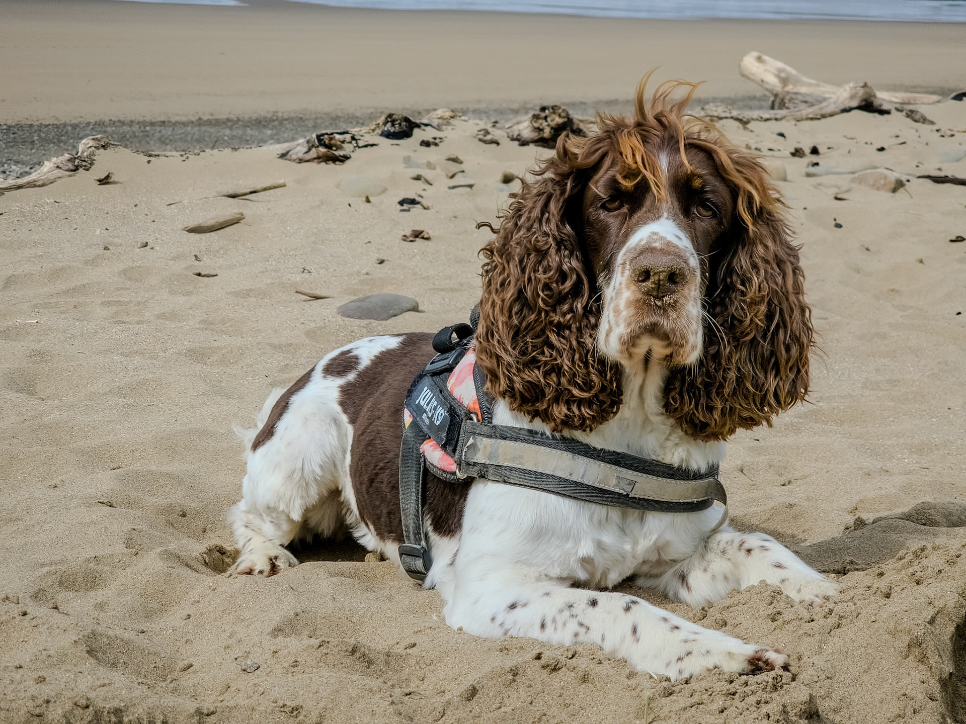 Merthyr Mawr beach