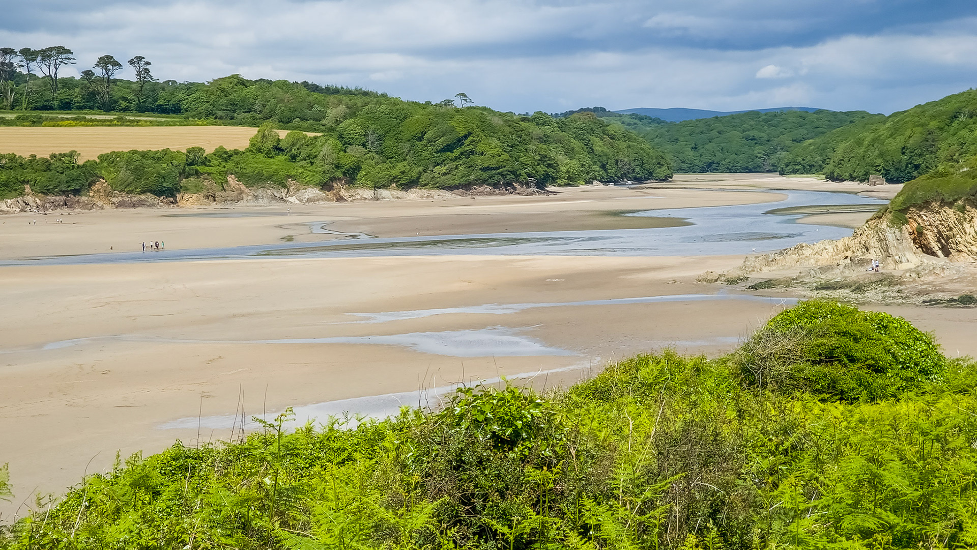 Erme Estuary