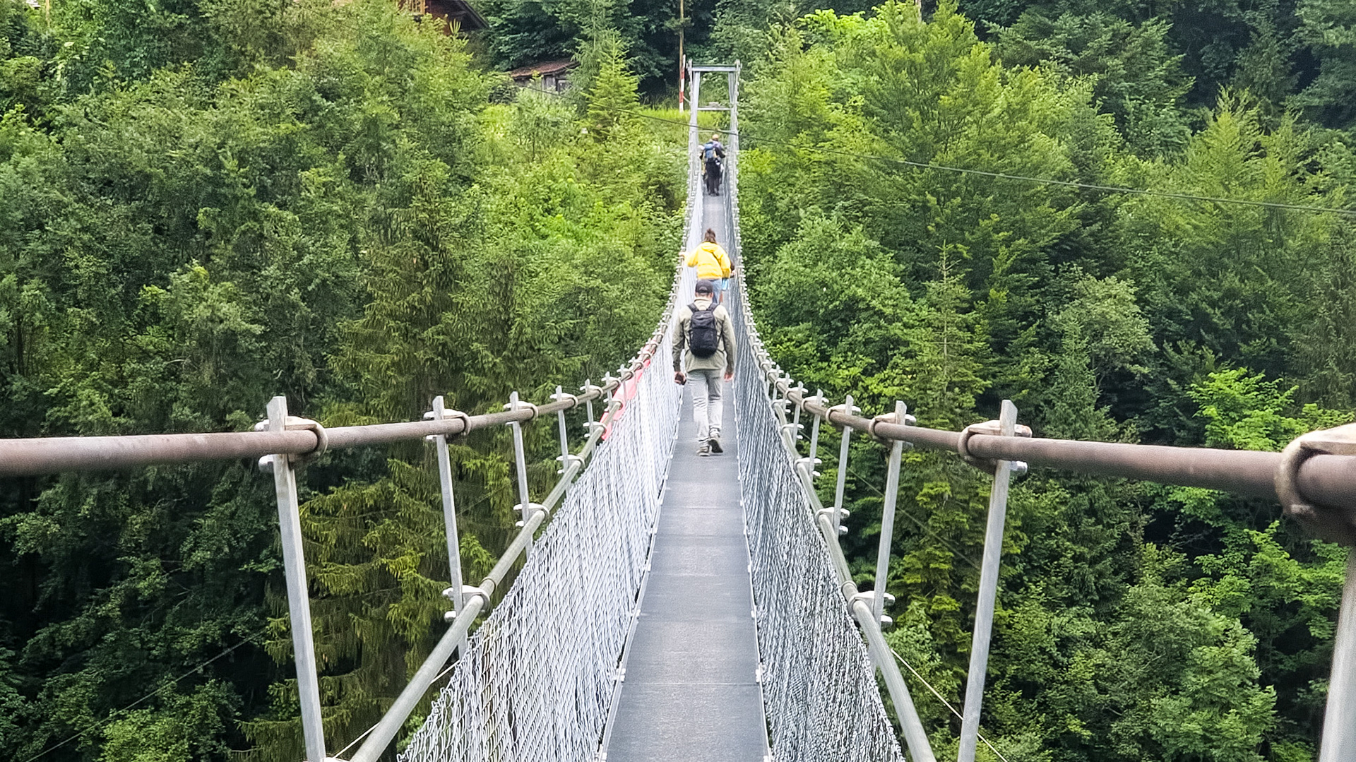 Hanging bridge near Frutigen