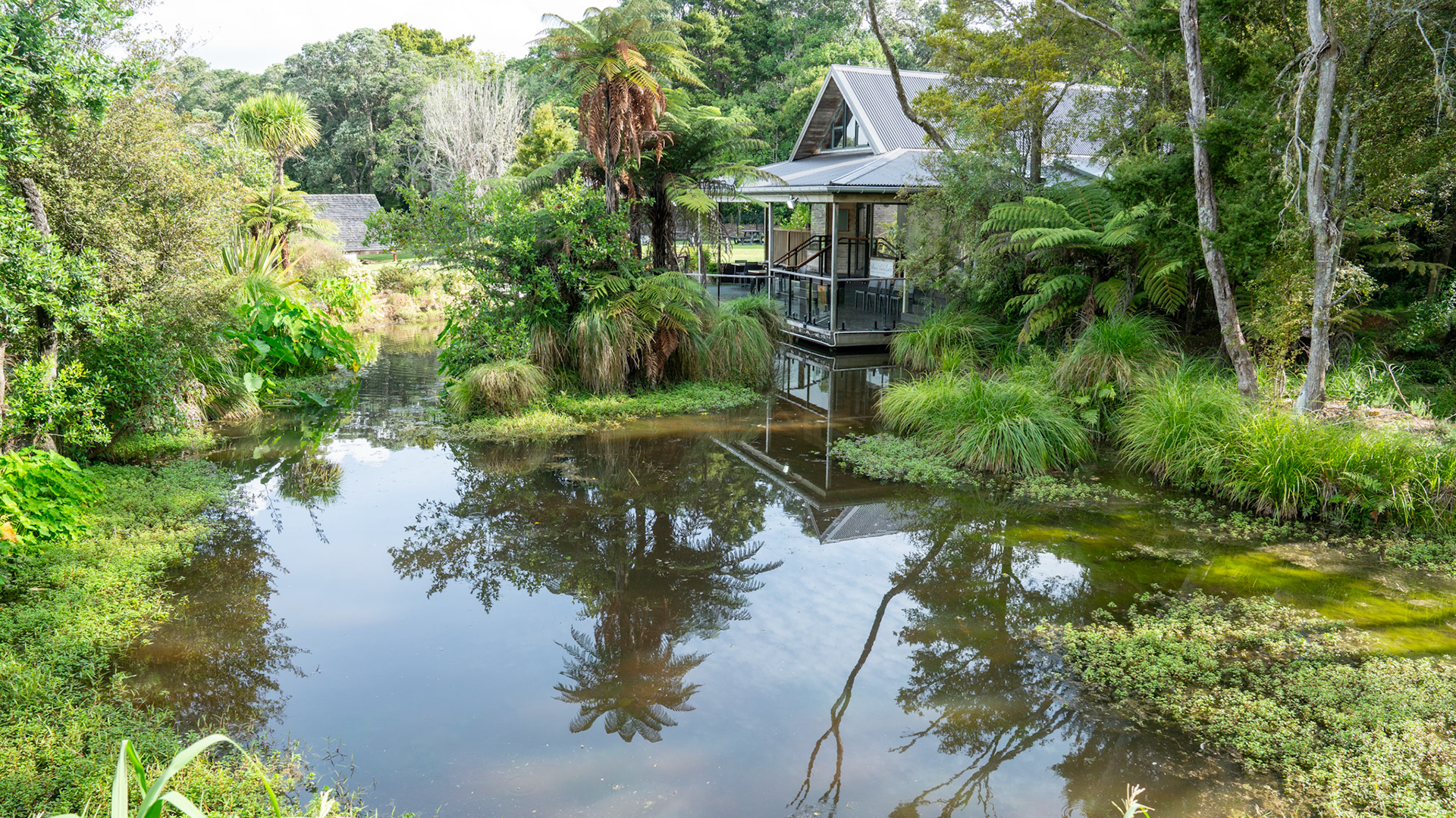 Whare Waka cafe, Waitangi Treaty Grounds
