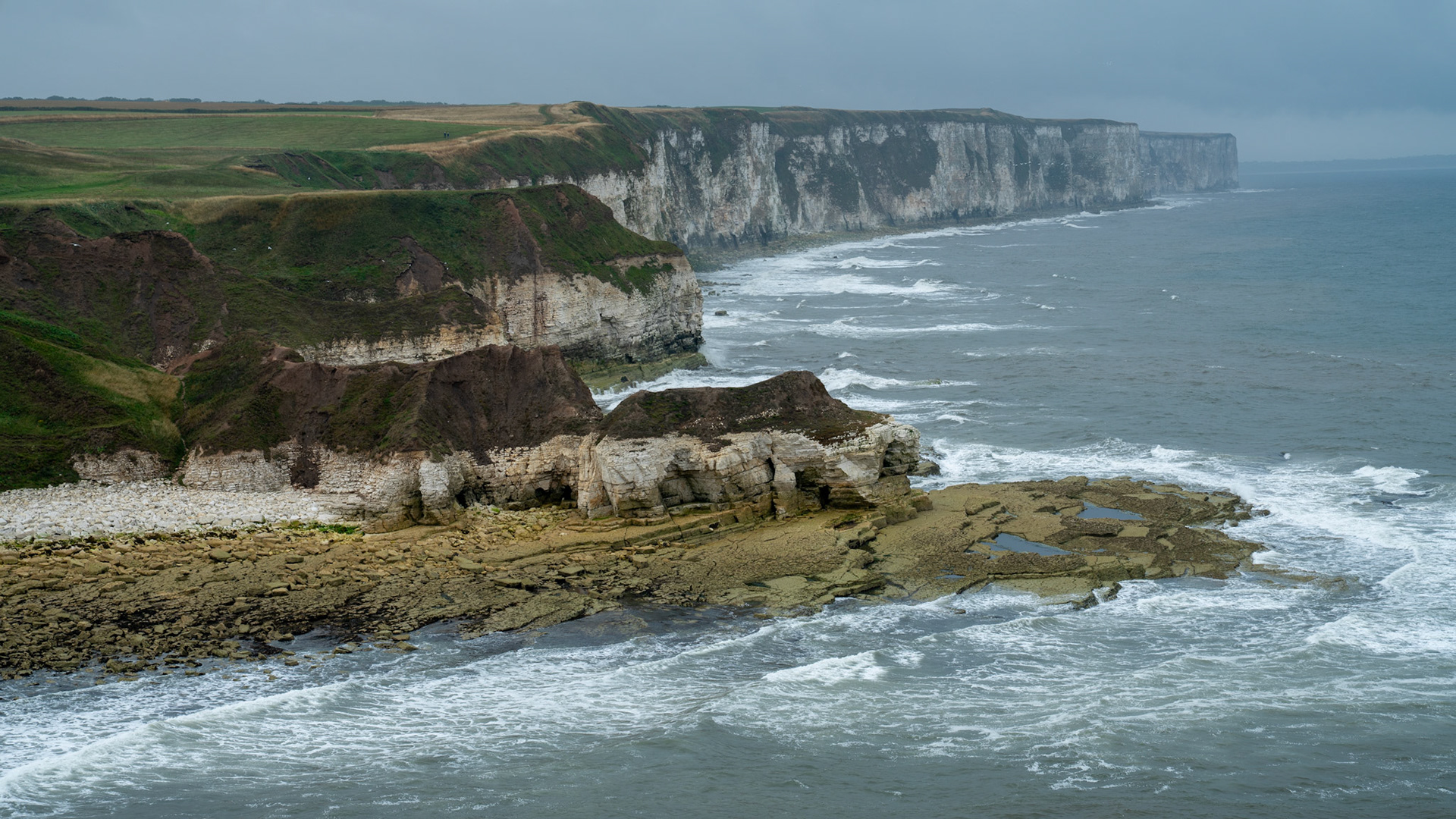 Bempton Cliffs