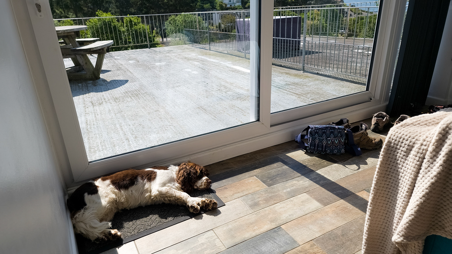 Catching the morning rays