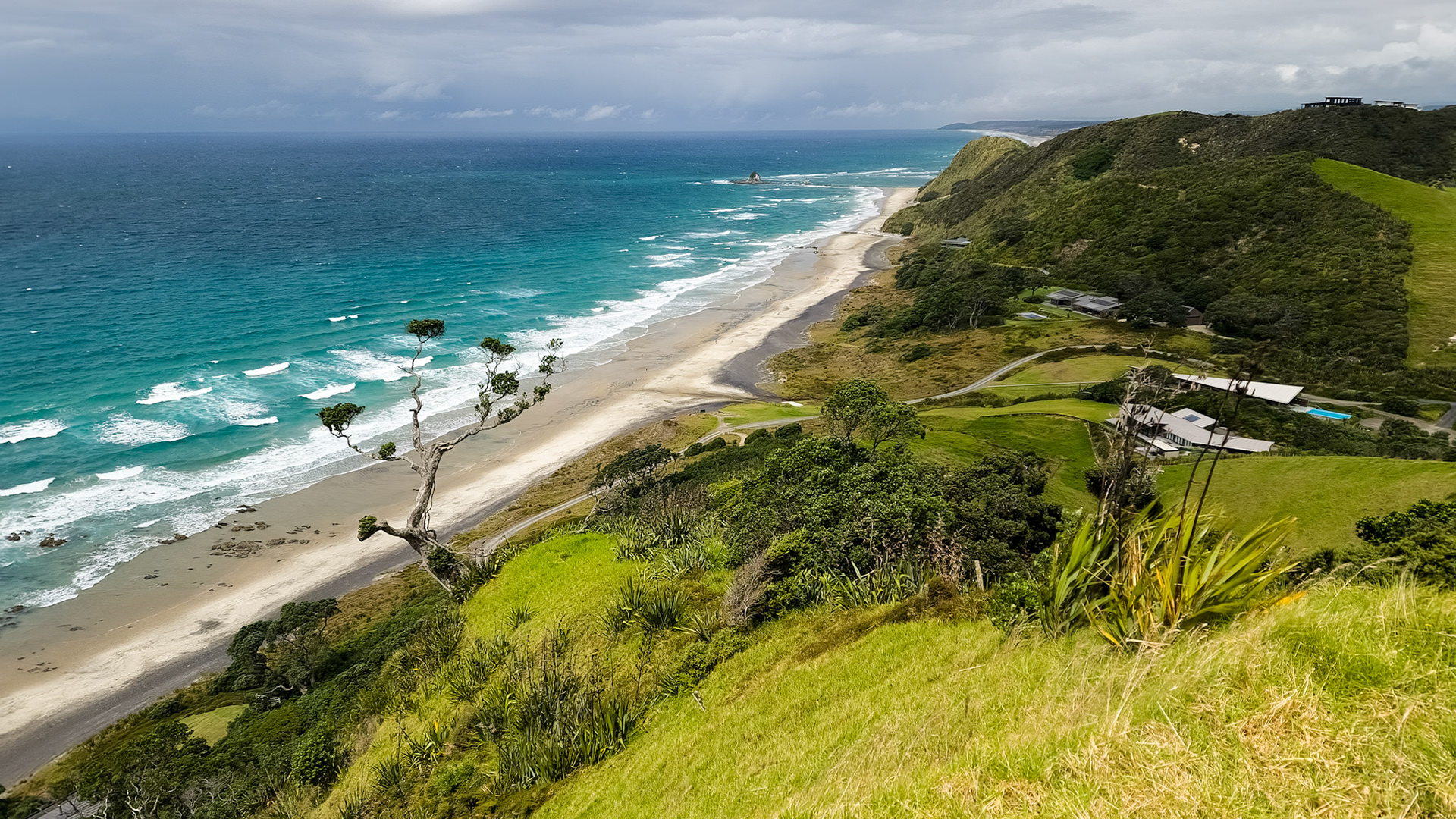 Mangawhai Cliff Walk