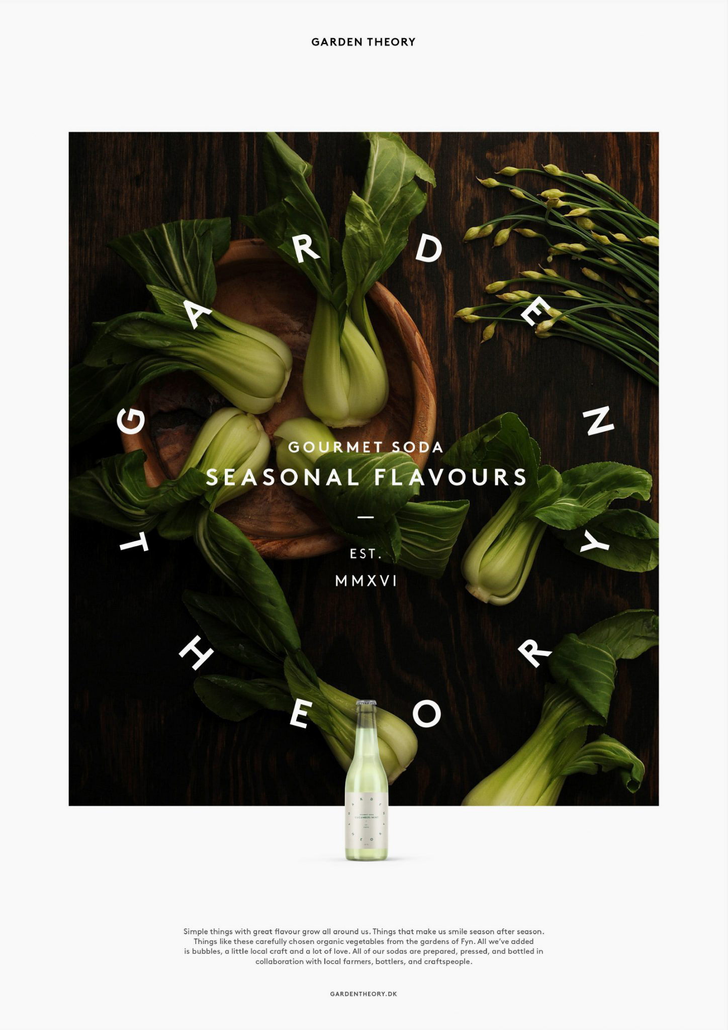 Create a brand name, a brand identity concept and a suite of packaging that would create a strong platform for establishing a position for an organic vegetable gourmet soda in the upper end of the soda market