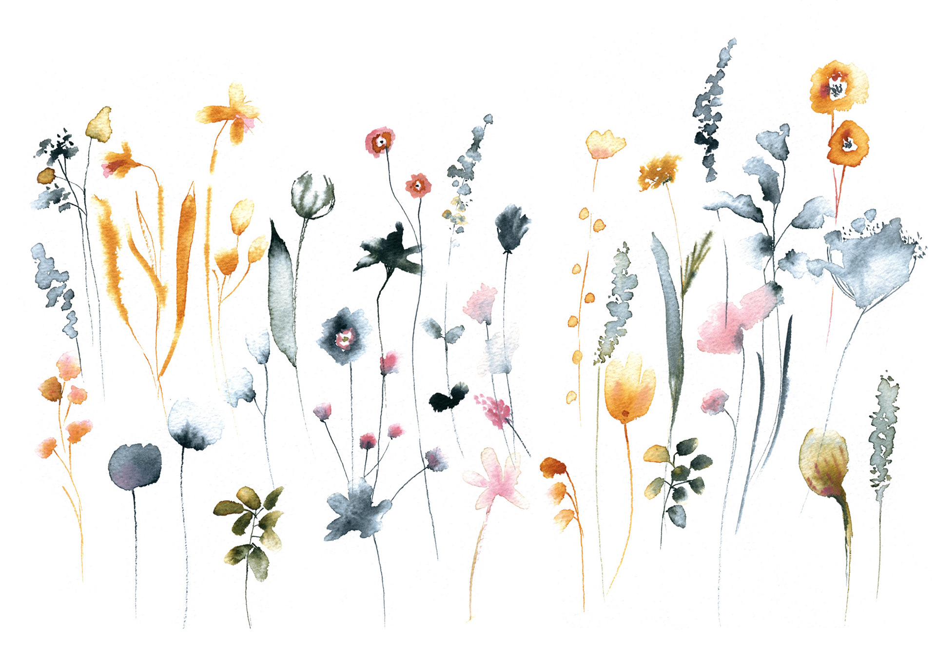 Ink and watercolor flowers