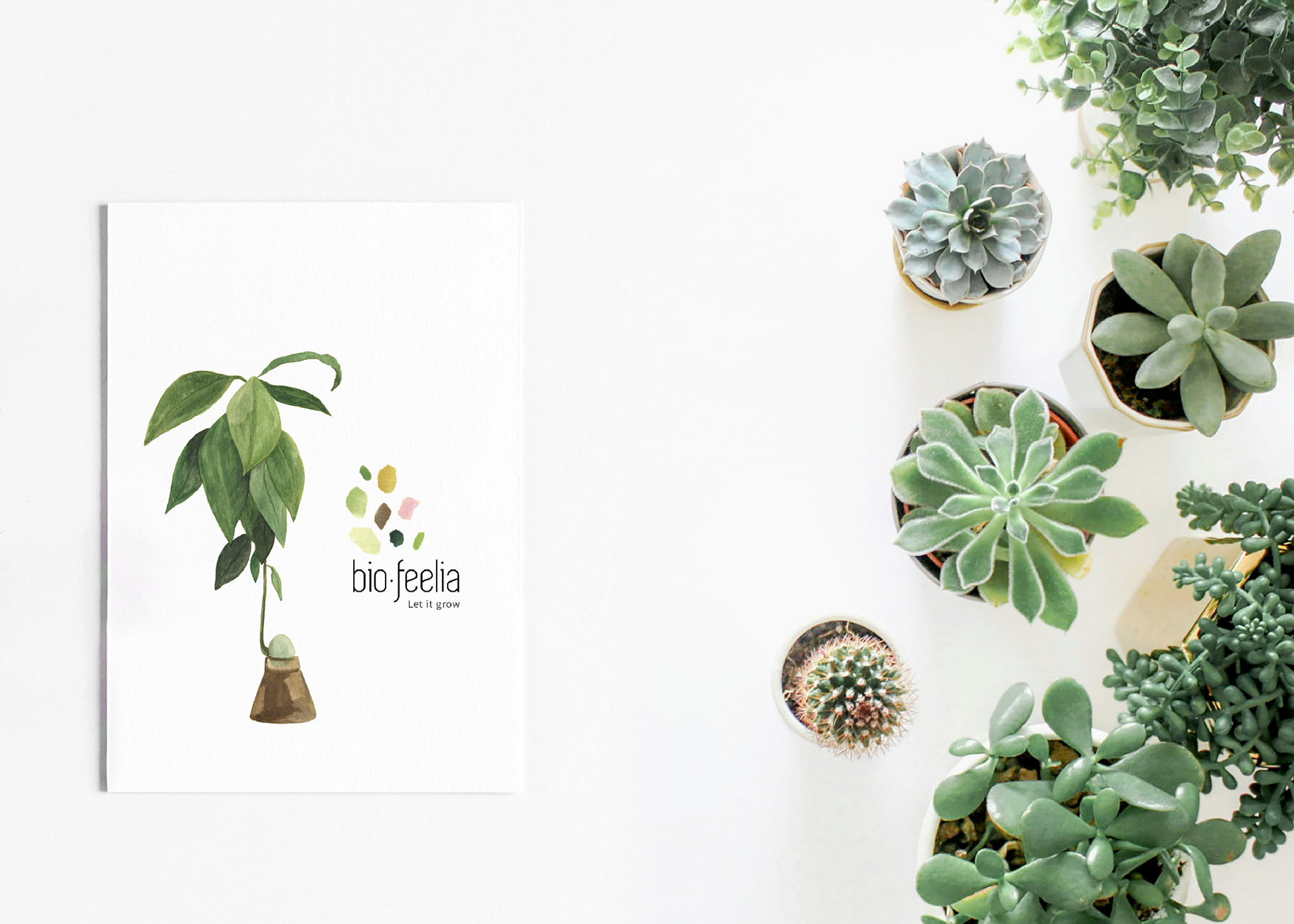 postcard of the brand biofeelia