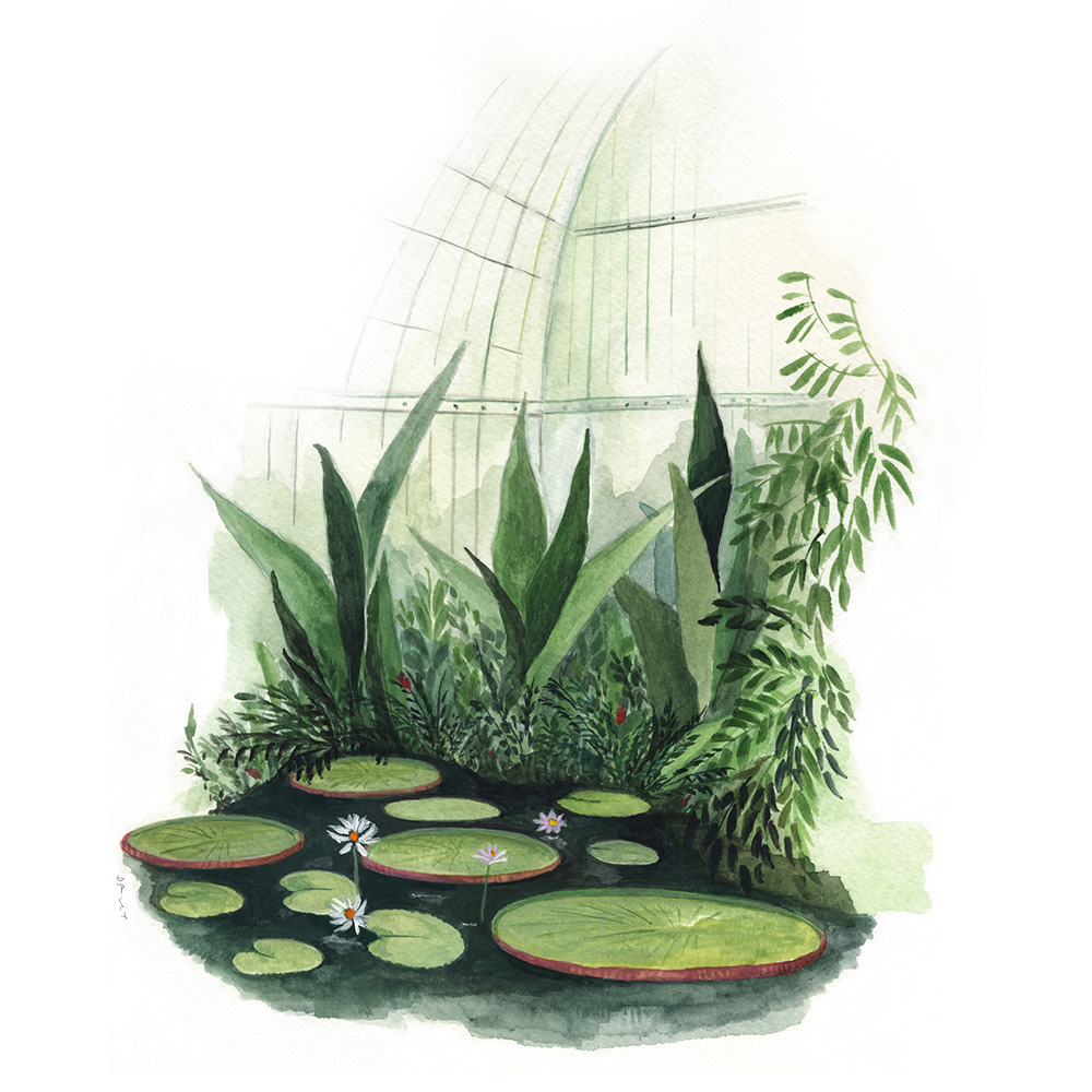 gouache painting of the Kew gardens' largest surviving glasshouse in the world