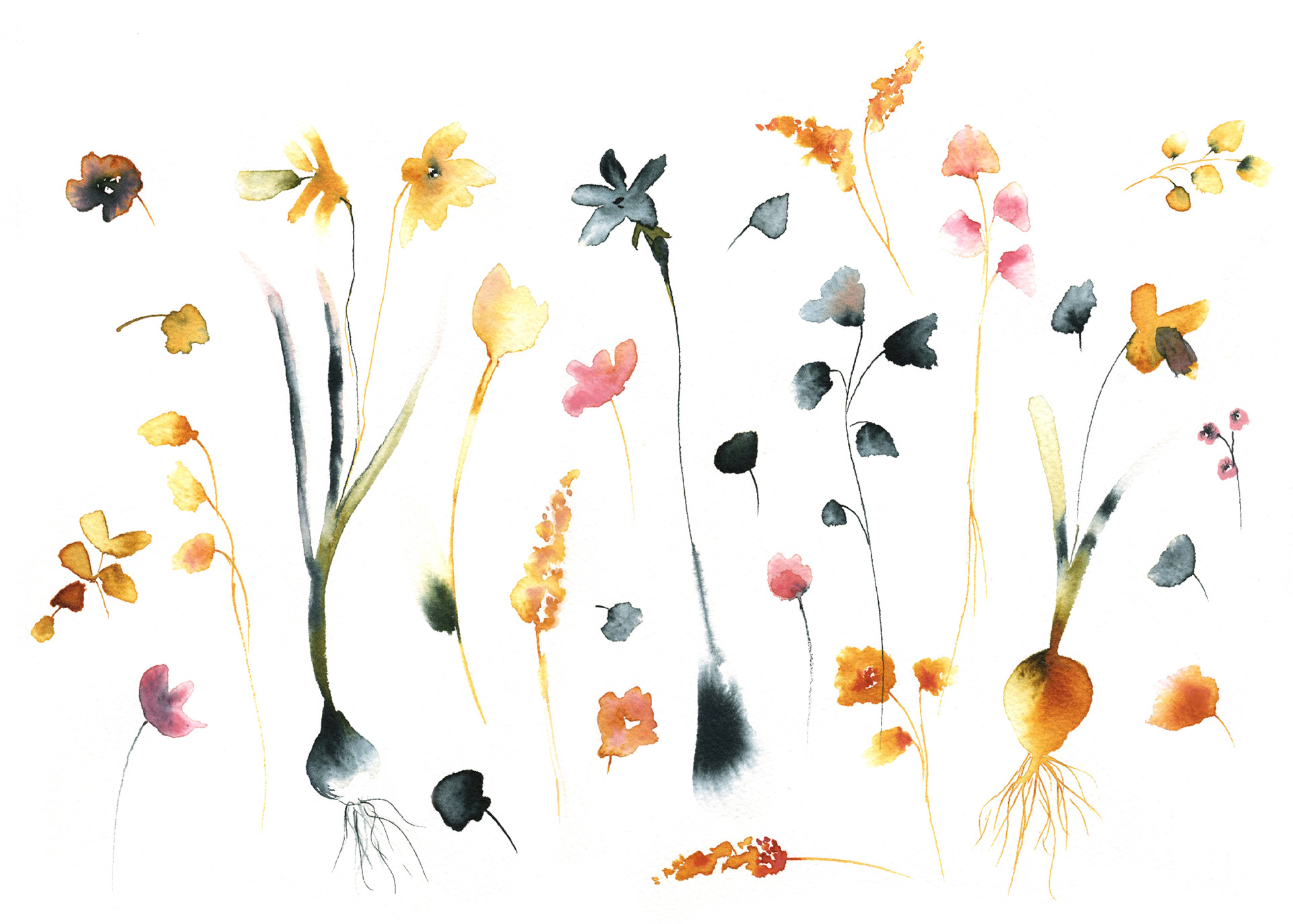 ink and watercolor flowers