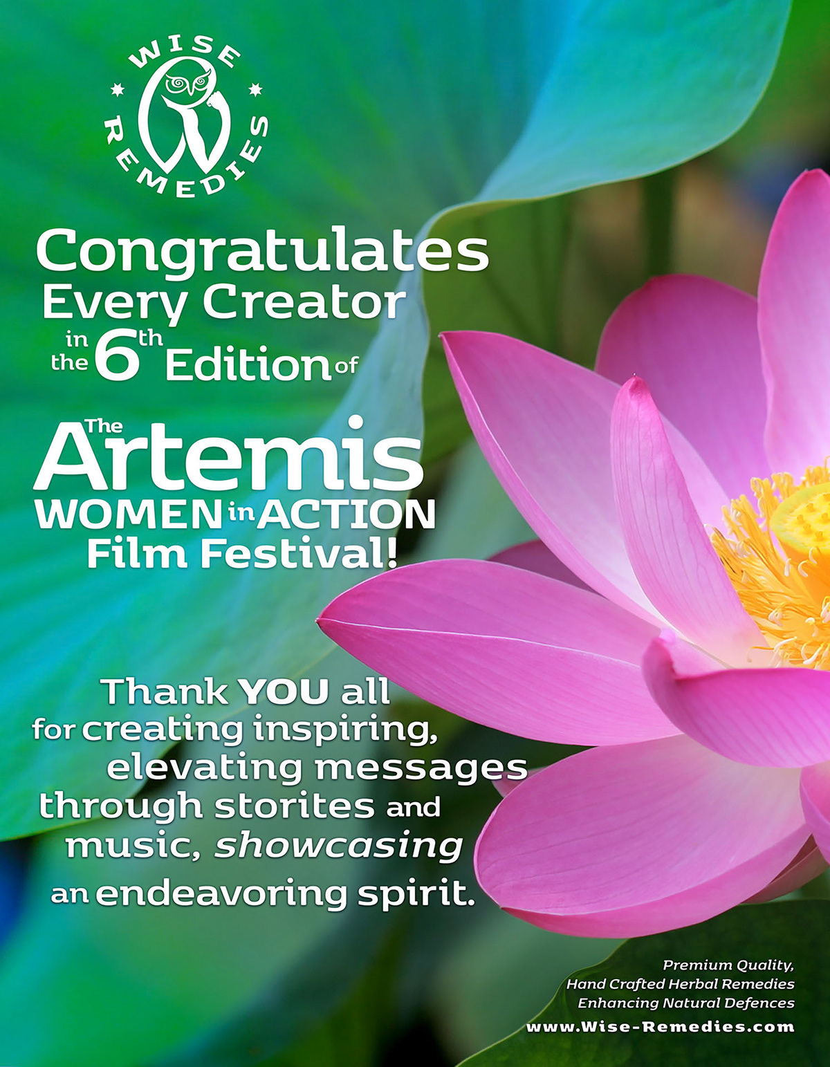 Dylan K. Rogers Art Director and Brand Designer Wise Remedies