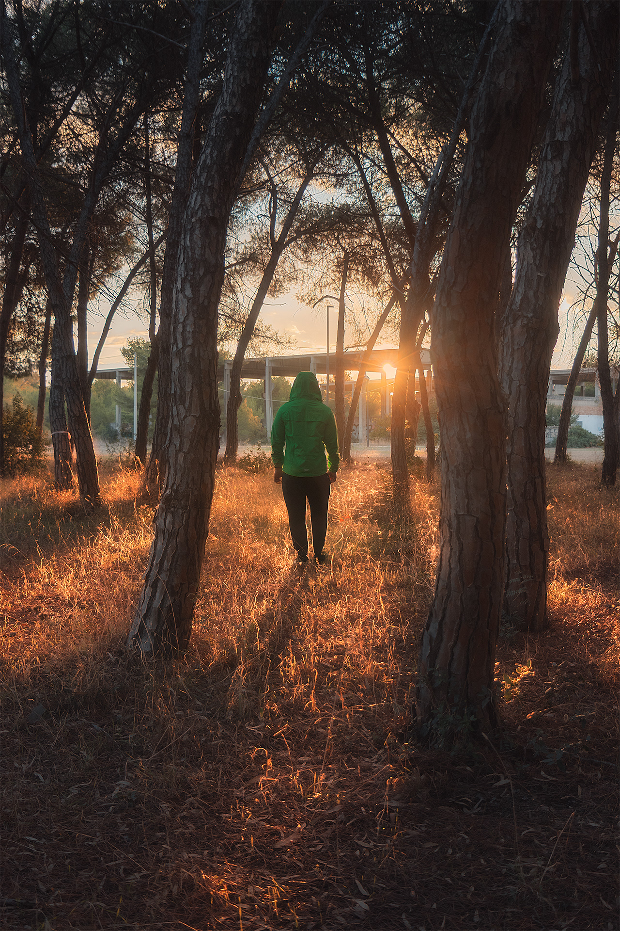 Taranto - Tramonto in Pineta "ex. Batteria cattaneo"