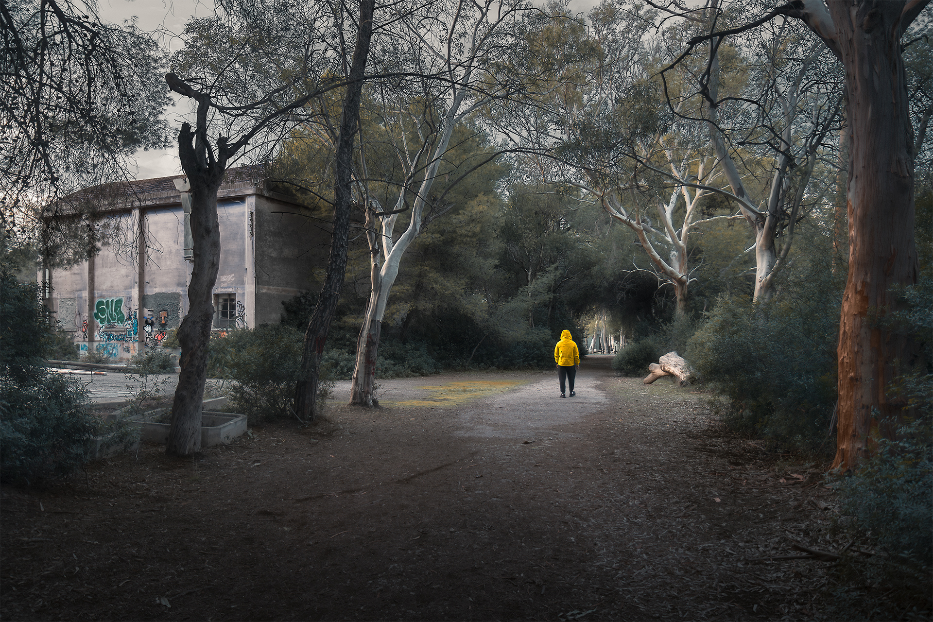 Yellowjacket - Il Casolare