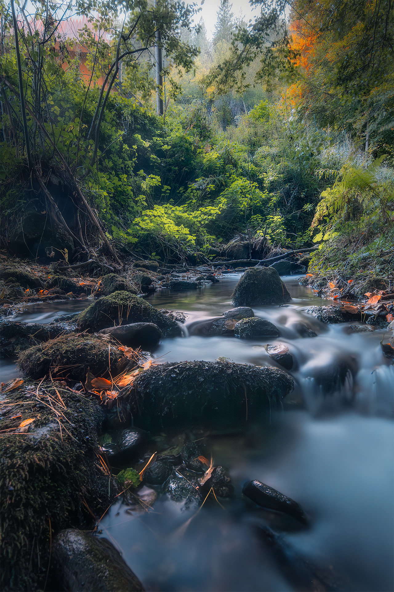 Camigliatello Silano - Ruscello