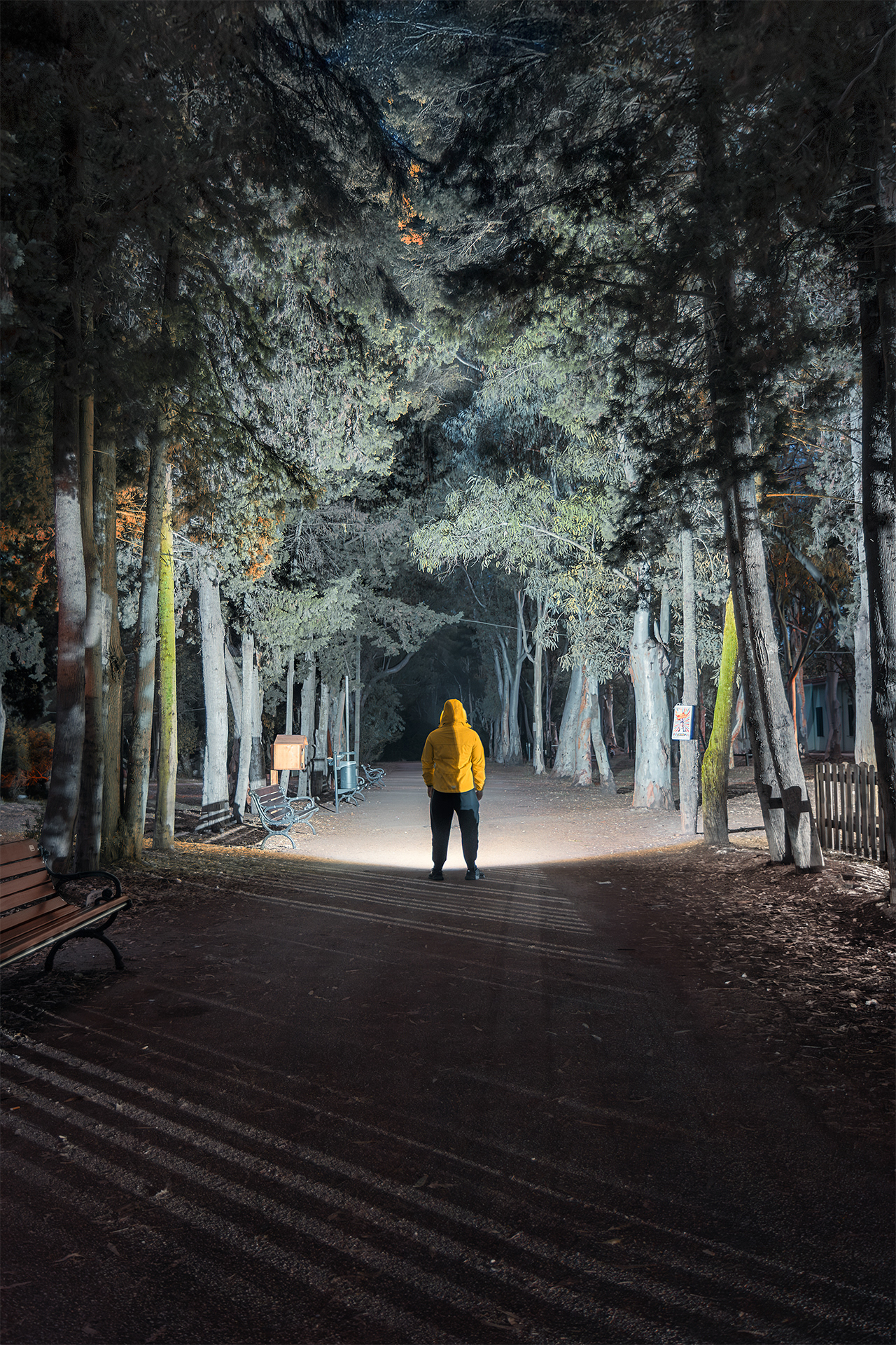 Yellowjacket - Il Viale