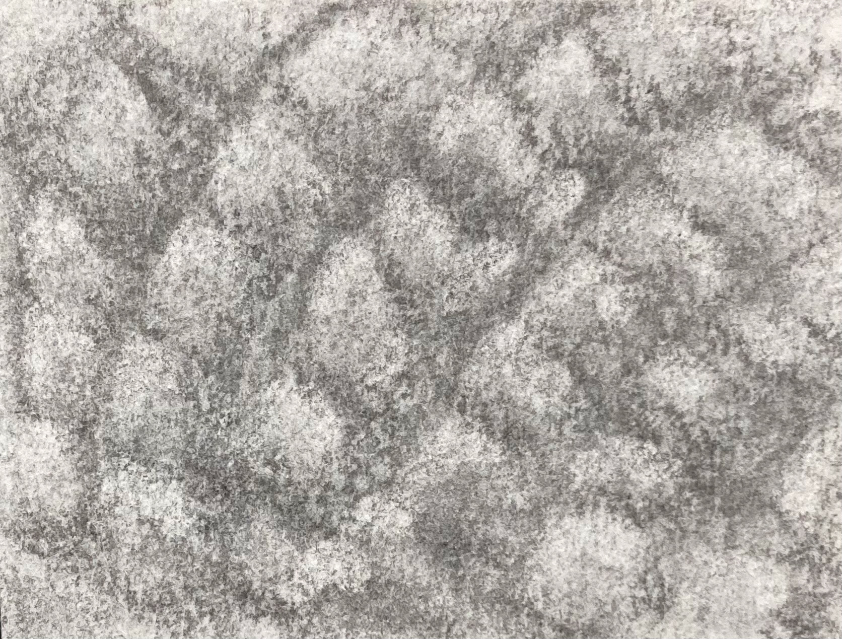 One of several abstract art pieces I produced using graphite.