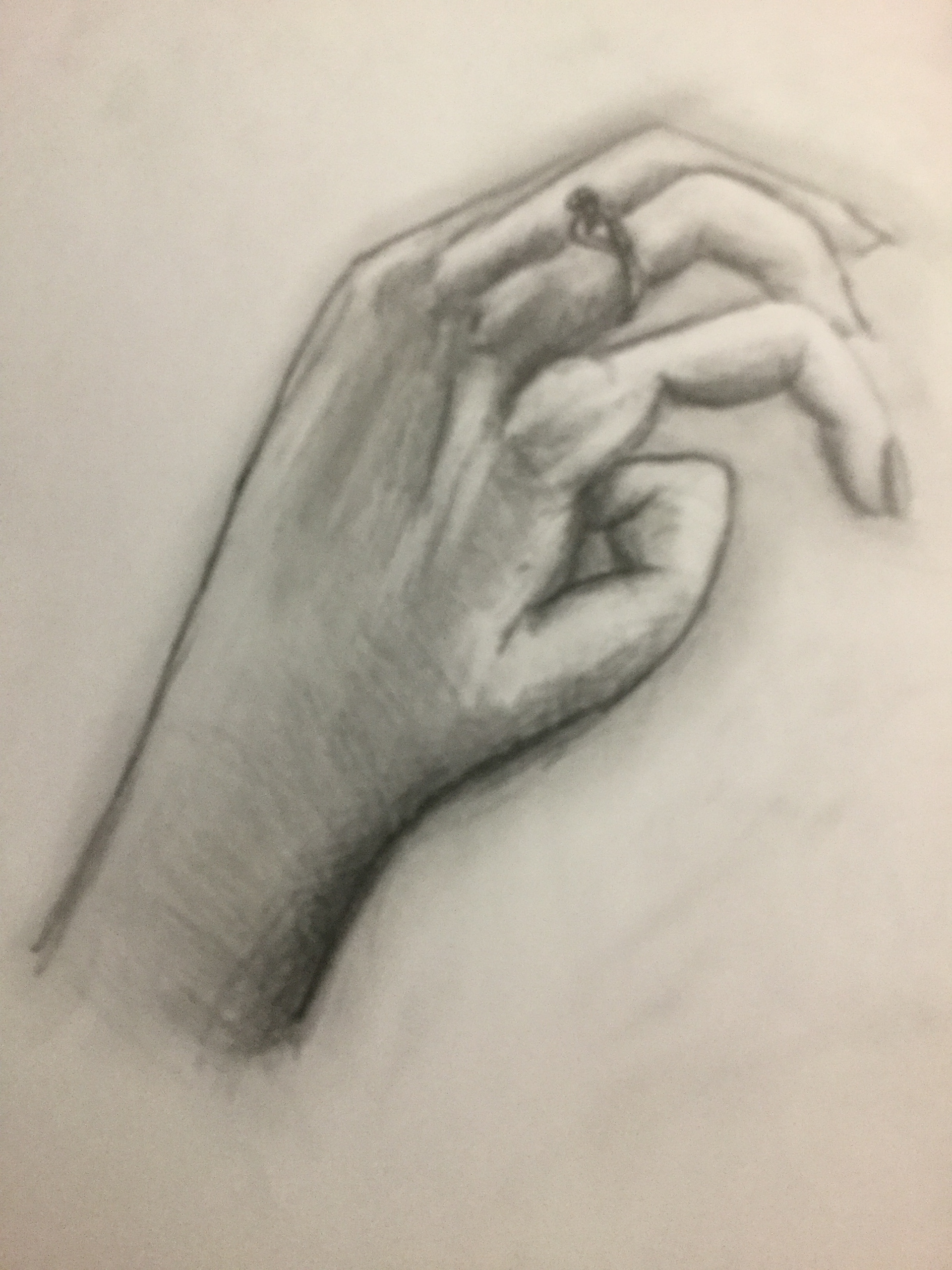 A hand drawing made using graphite.