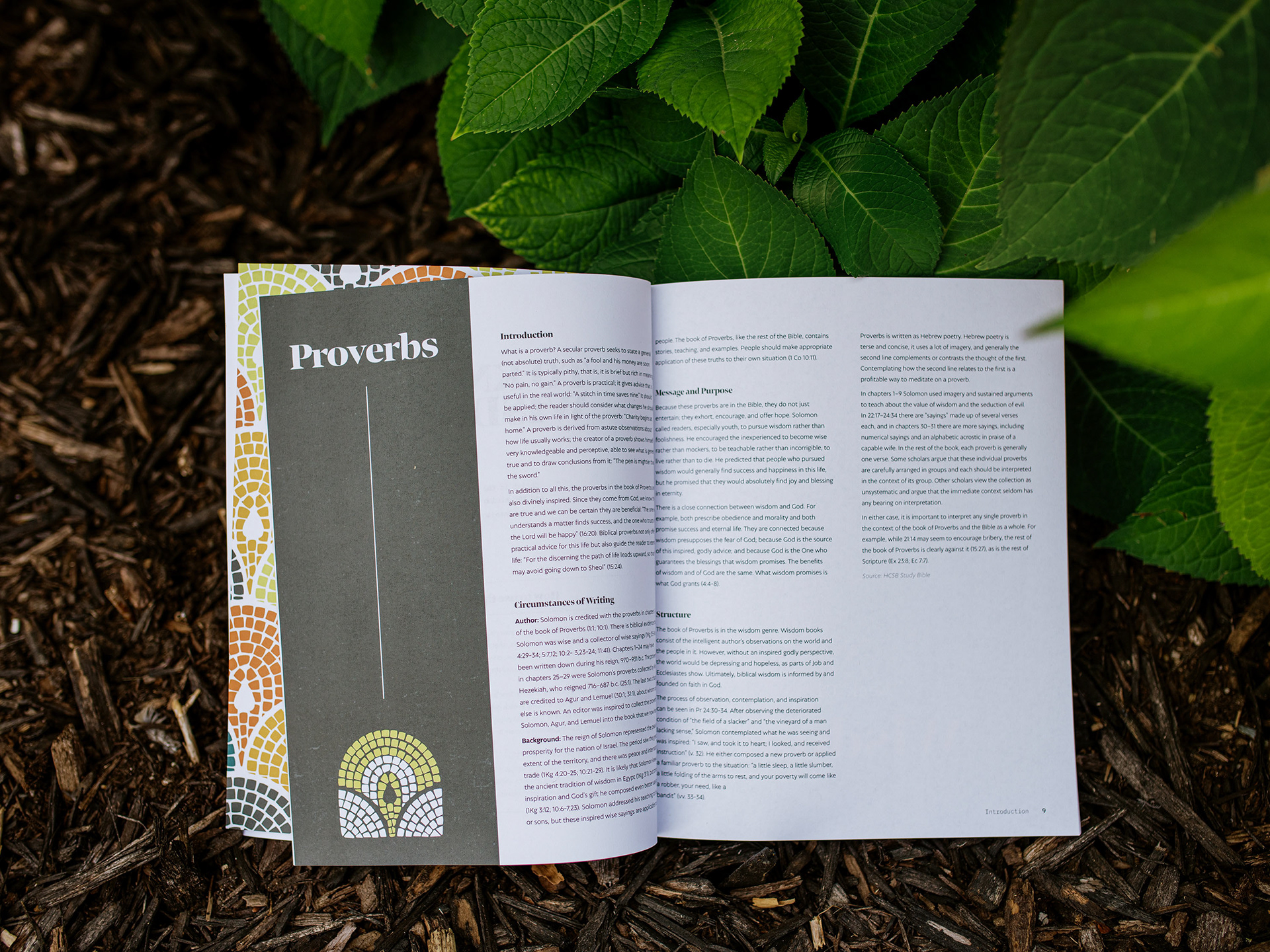 Sermon Series Study Guide