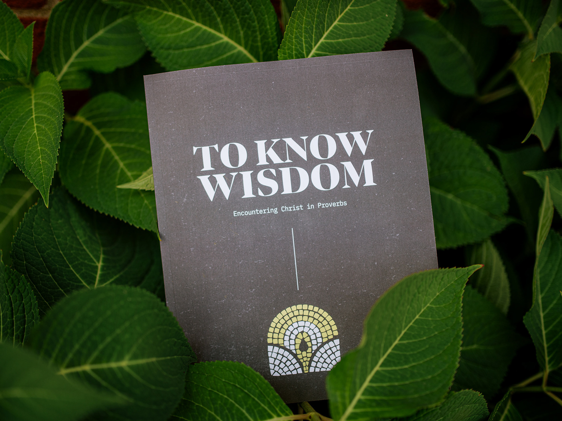 Sermon Series Study Guide Cover