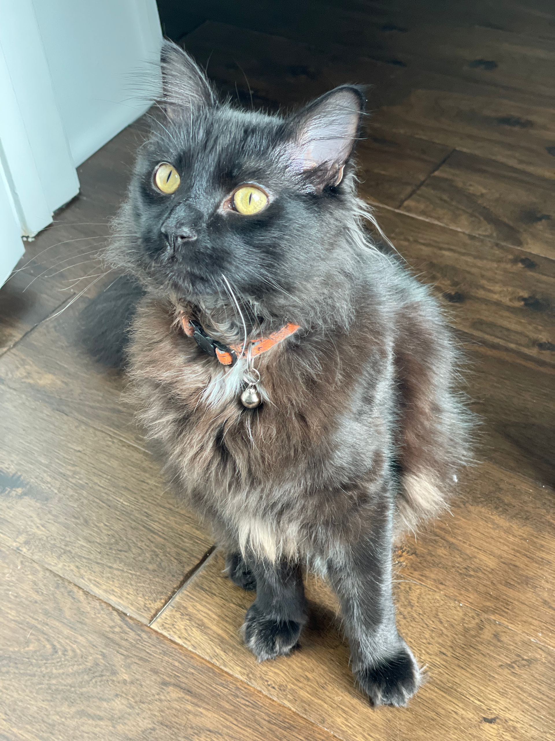 Binx