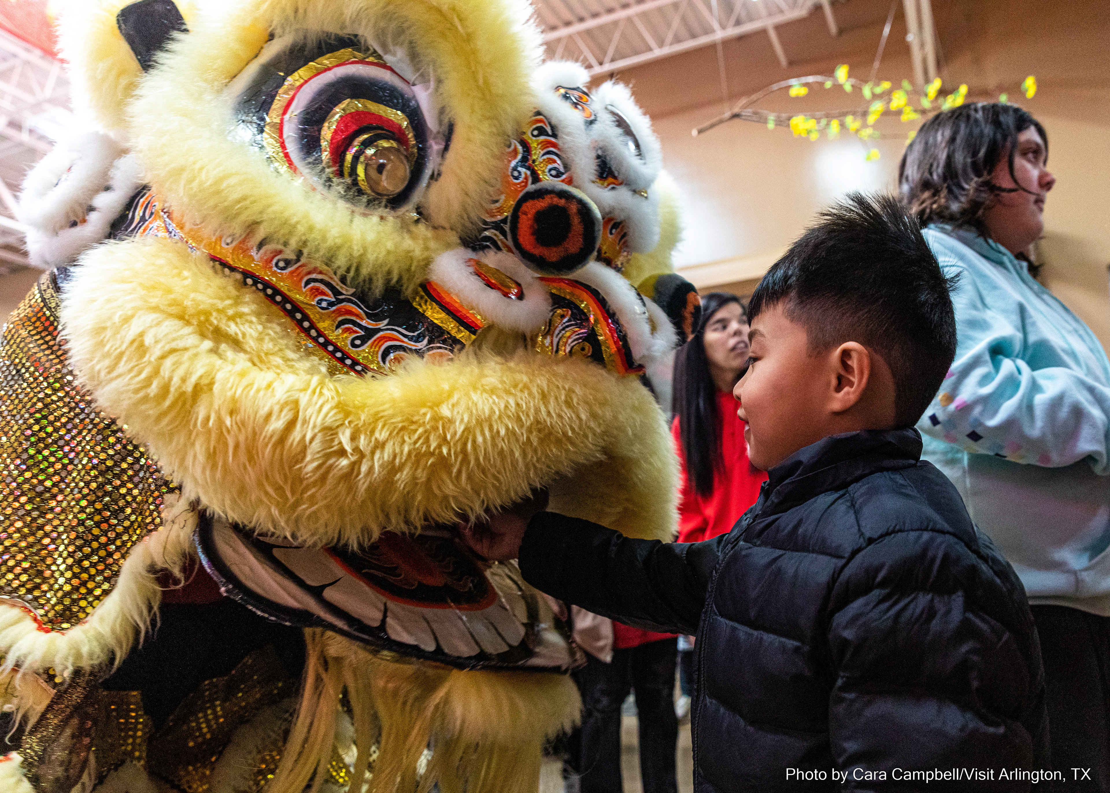Lunar New Year Celebration for Visit Arlington