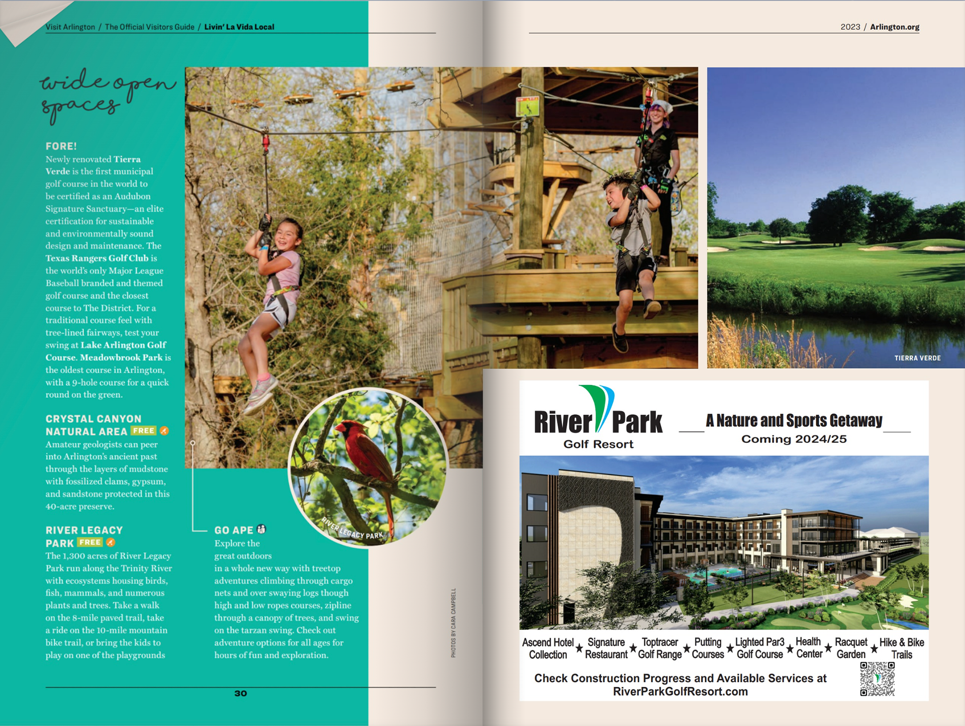 Captured Ziplining at Arlington's Go Ape! Adventure Park and a cardinal at Rivery Legacy Park in Arlington, featured on page 30.