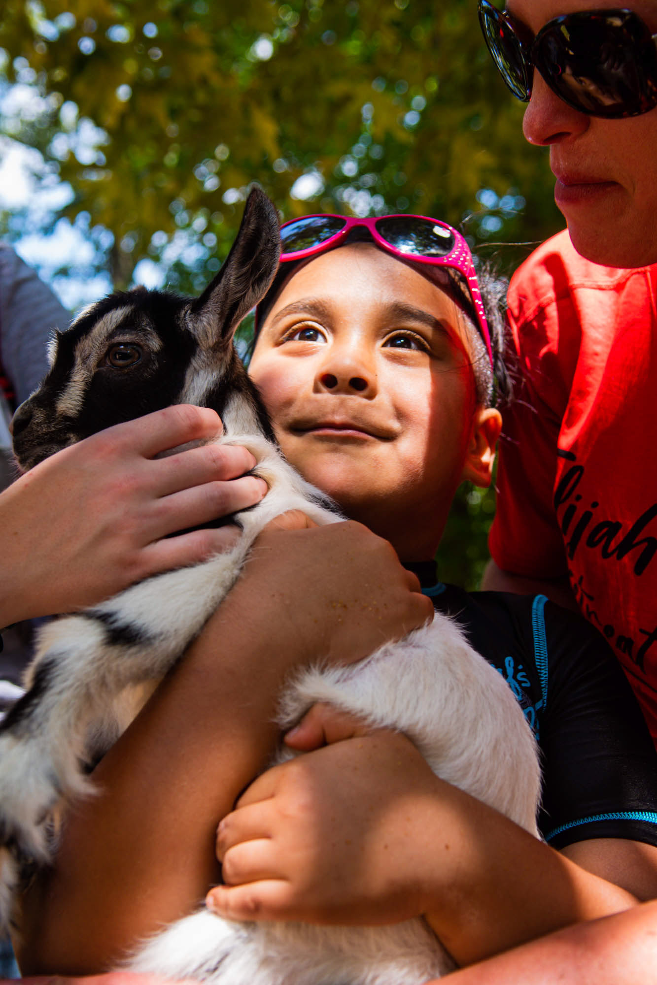 Liam Santos holds a kid dwarf goat in his arms during an animal encounter Friday at Elijah's Retreat in Jacksonville. The retreat is designed to provide a complete camp experience for families affected by Autism. (Cara Campbell/Tyler Morning Telegraph)