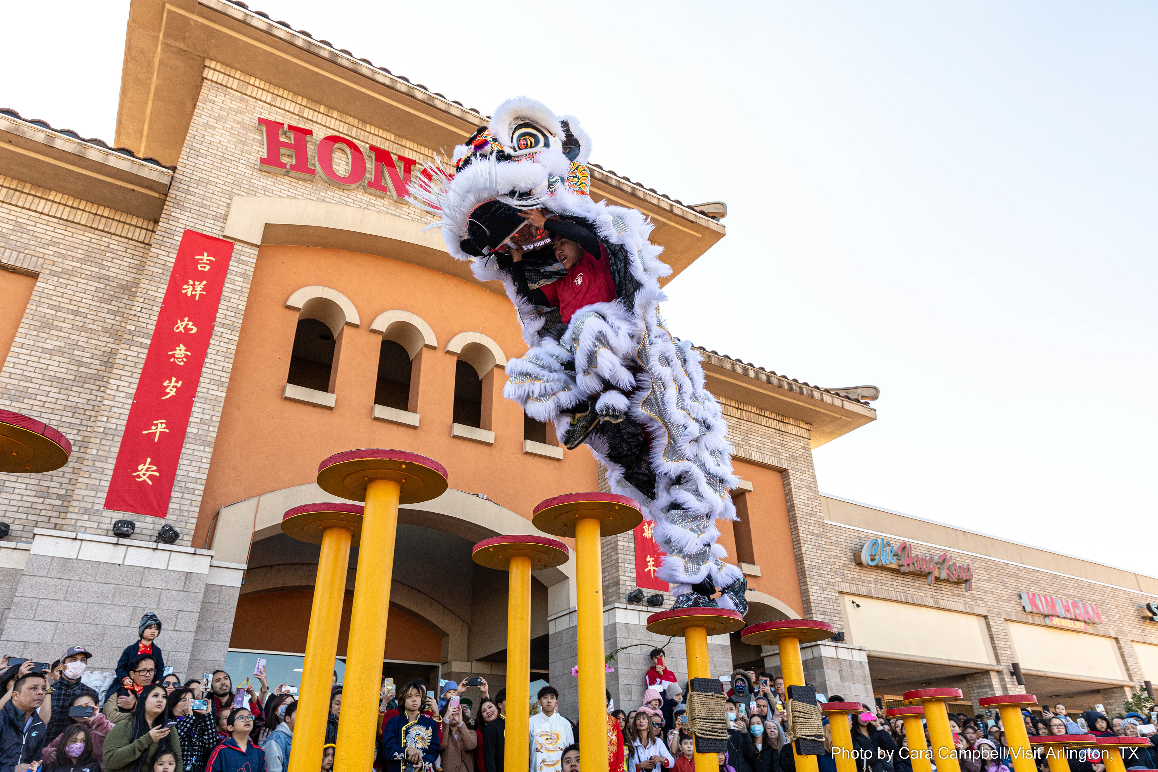 Lunar New Year Celebration for Visit Arlington