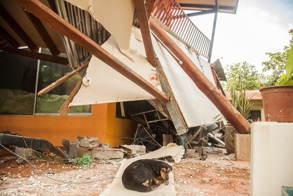 NOSARA, Guanacaste Prov., Costa Rica--Sept. 5, 2012 - A dog rests in a home left destroyed by a 7.6 magnitude earthquake that struck the region.