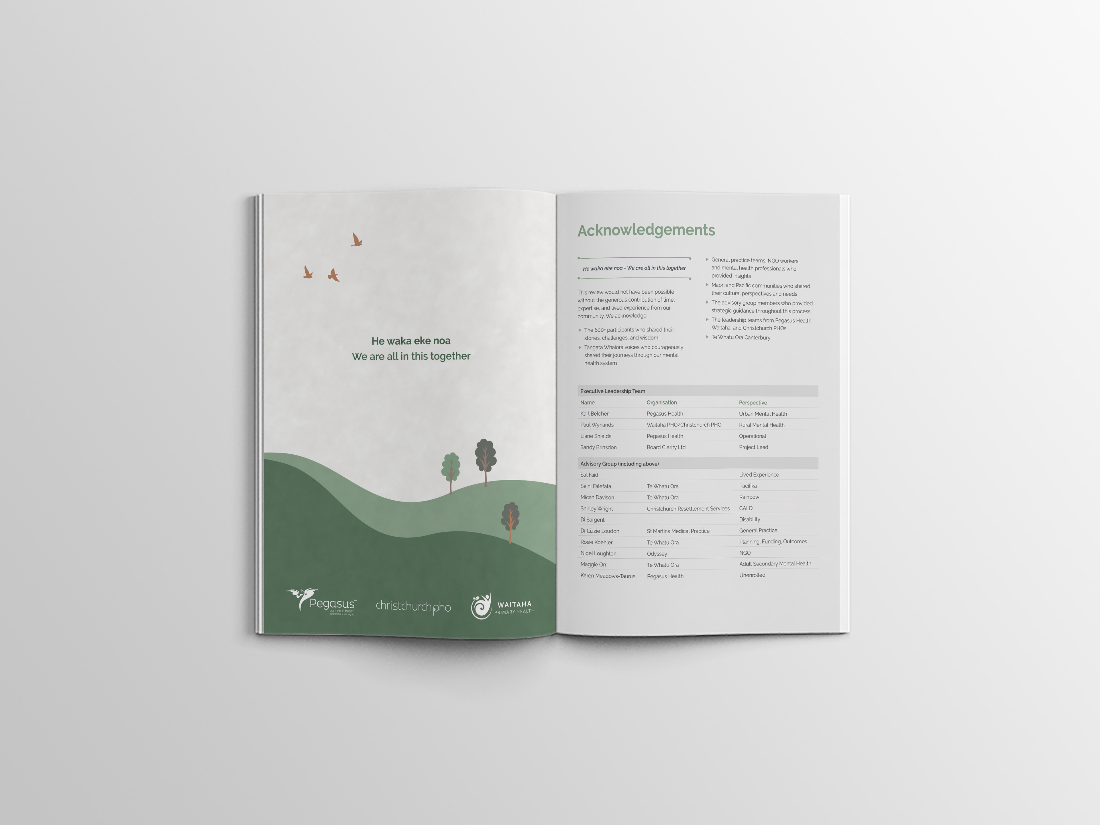 Design by Laura Fisher for the Waitaha Canterbury Primary Mental Health Review, featuring a balanced mix of colour and illustration to present sensitive information clearly and empathetically.