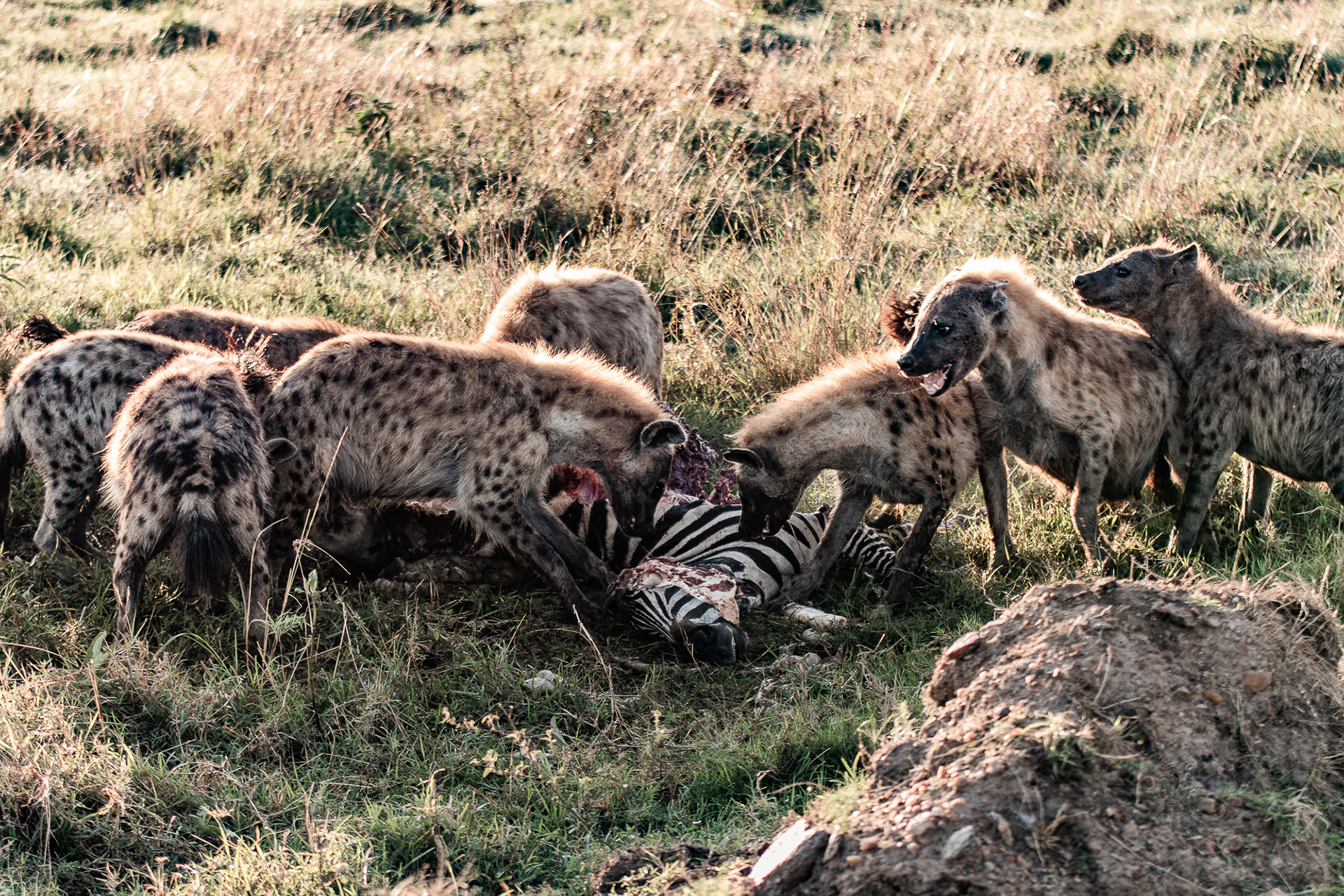 Kenya