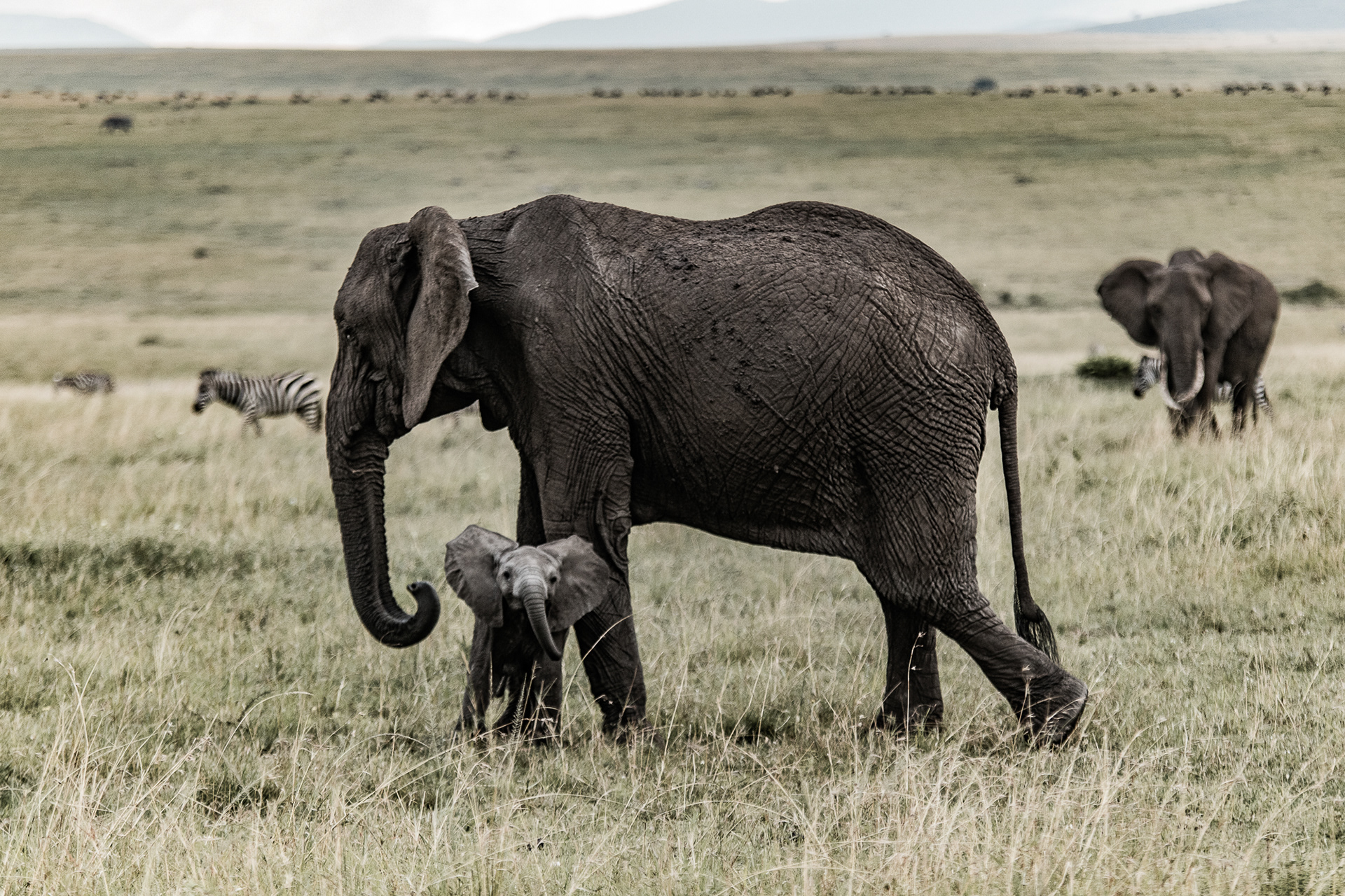 Kenya
