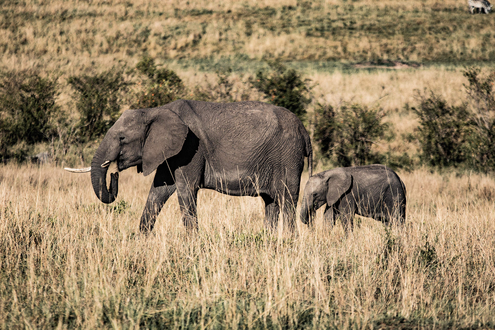 Kenya