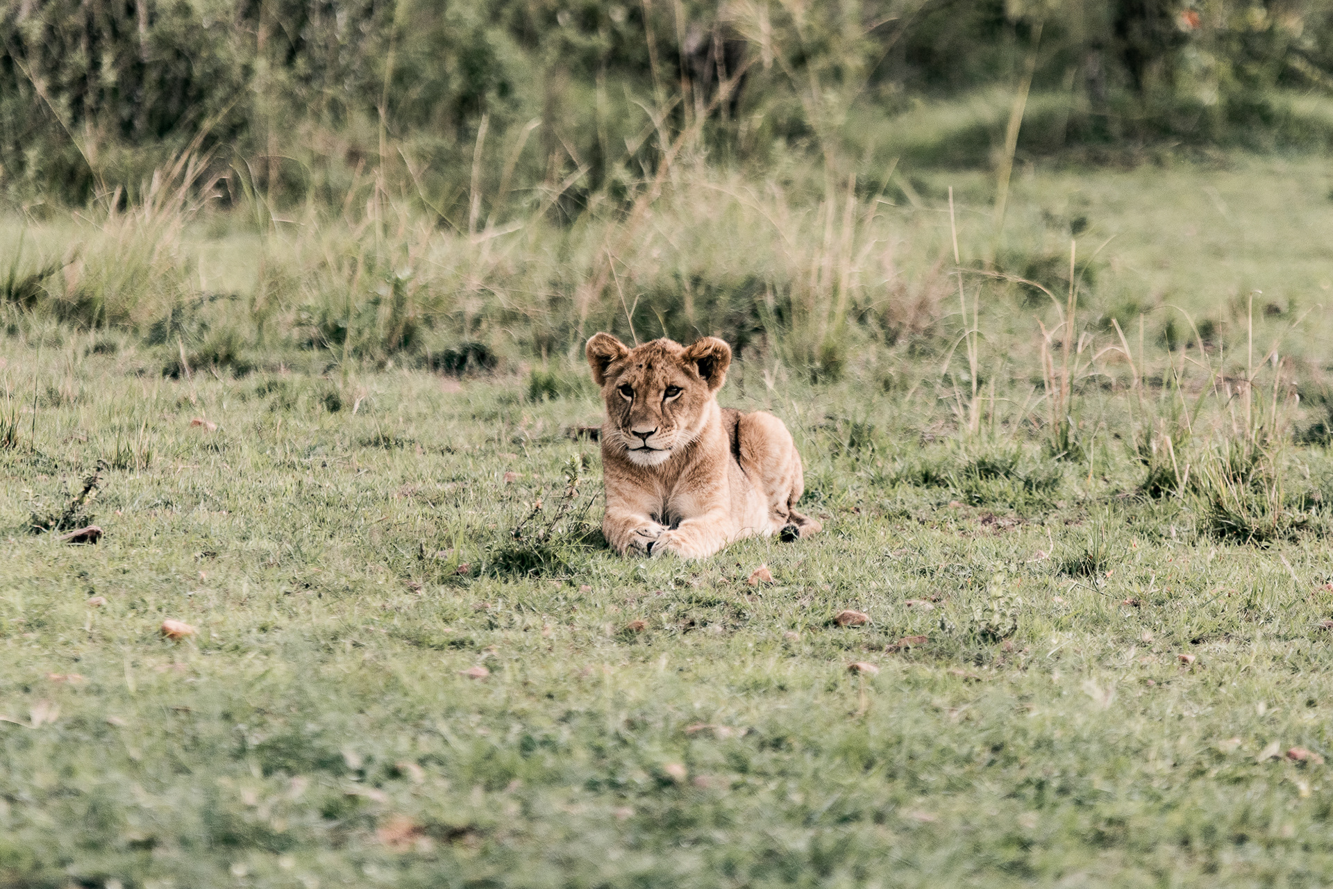 Kenya